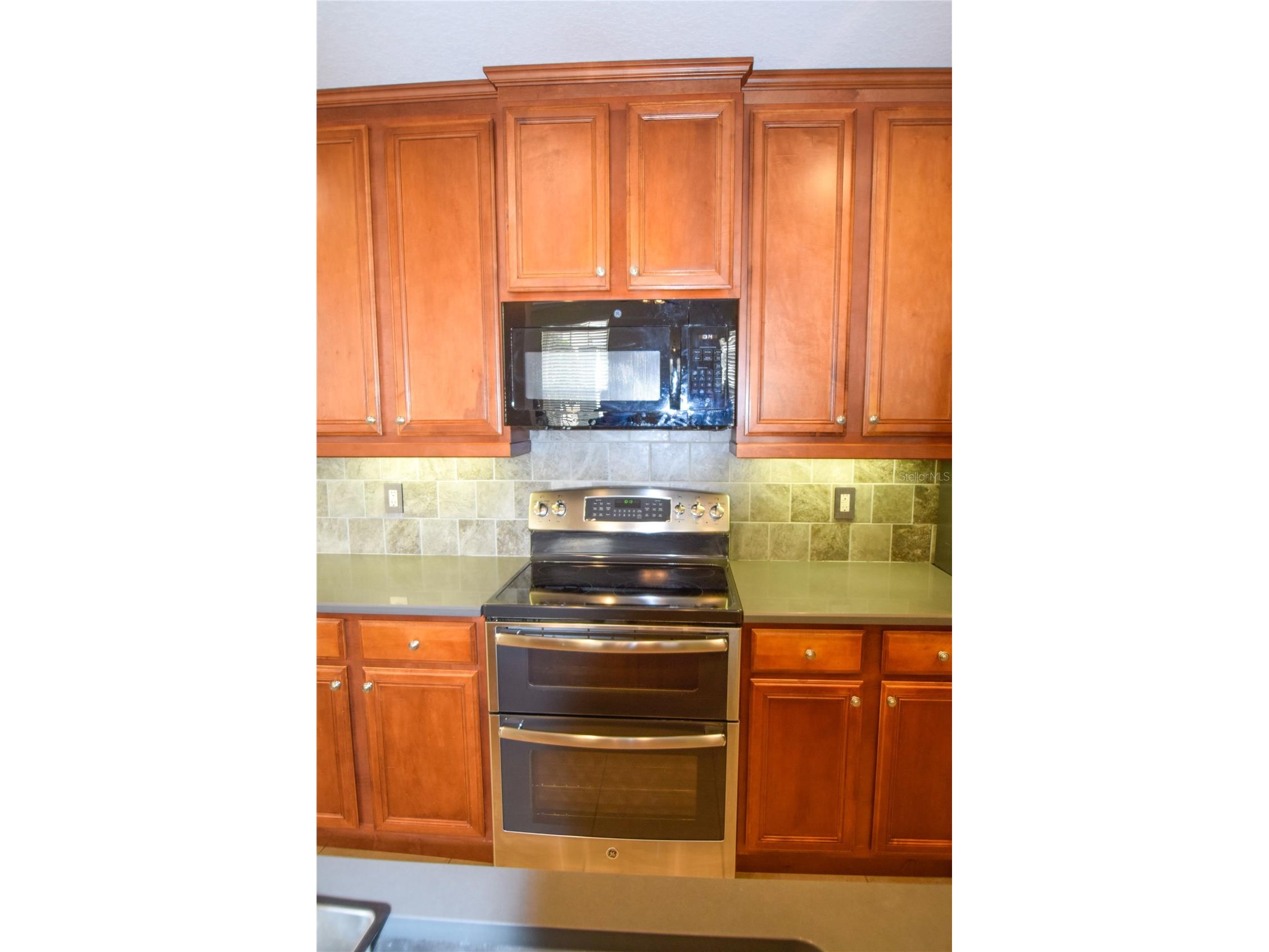 1420 Lake Baldwin Lane Orlando FL 32814 O6419759 image8
