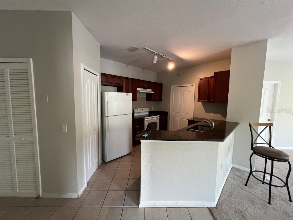 1420 Lake Shadow Circle #9207 Maitland FL 32751 O6335219 image10