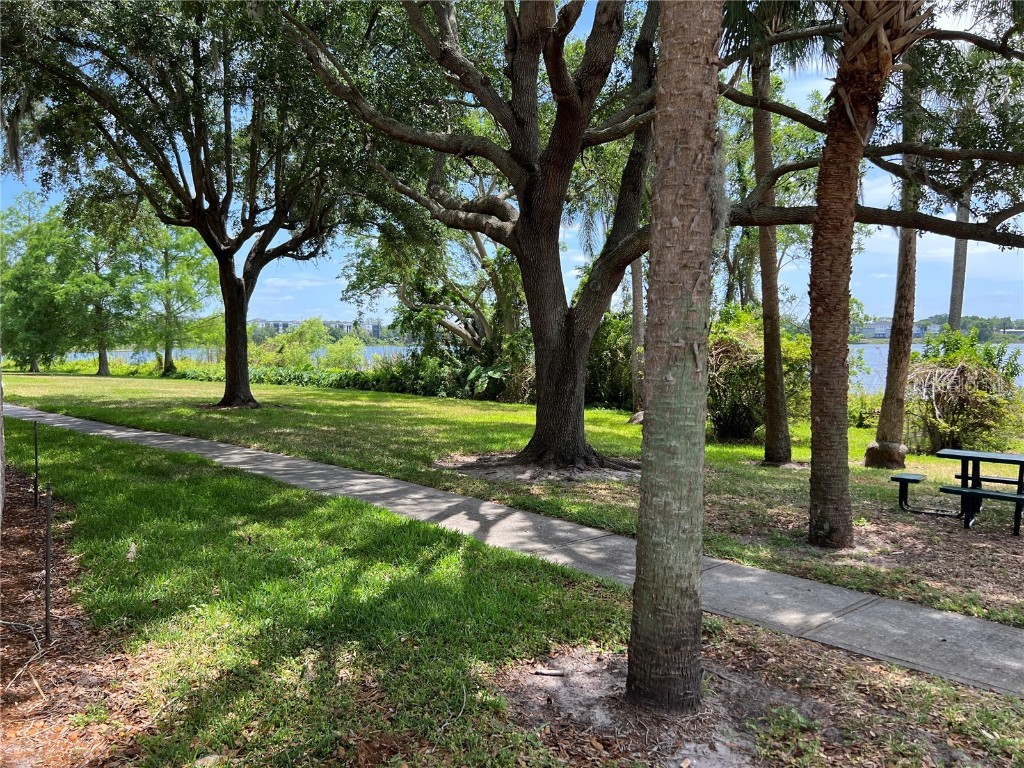 1420 Lake Shadow Circle #9207 Maitland FL 32751 O6335219 image48