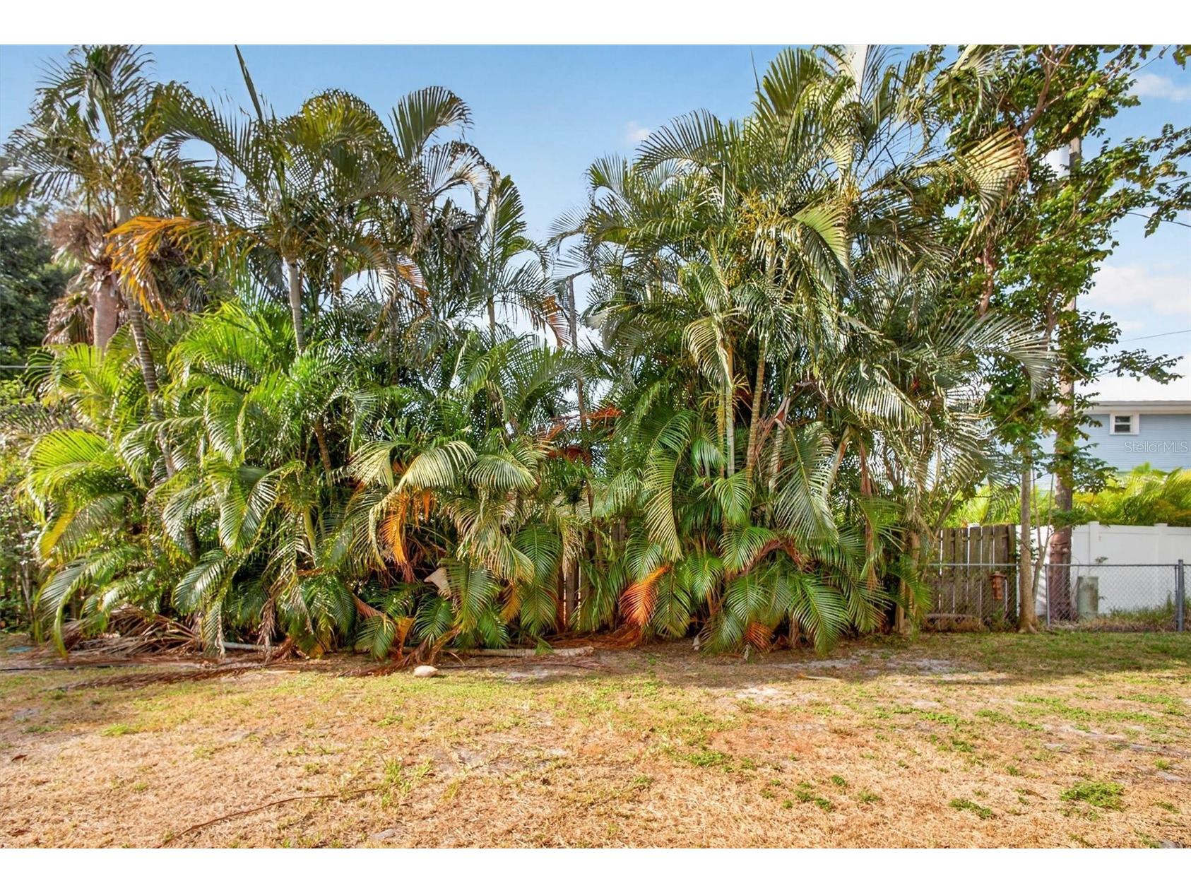 1420 Maravilla Avenue Fort Myers FL 33901 O6378219 image51