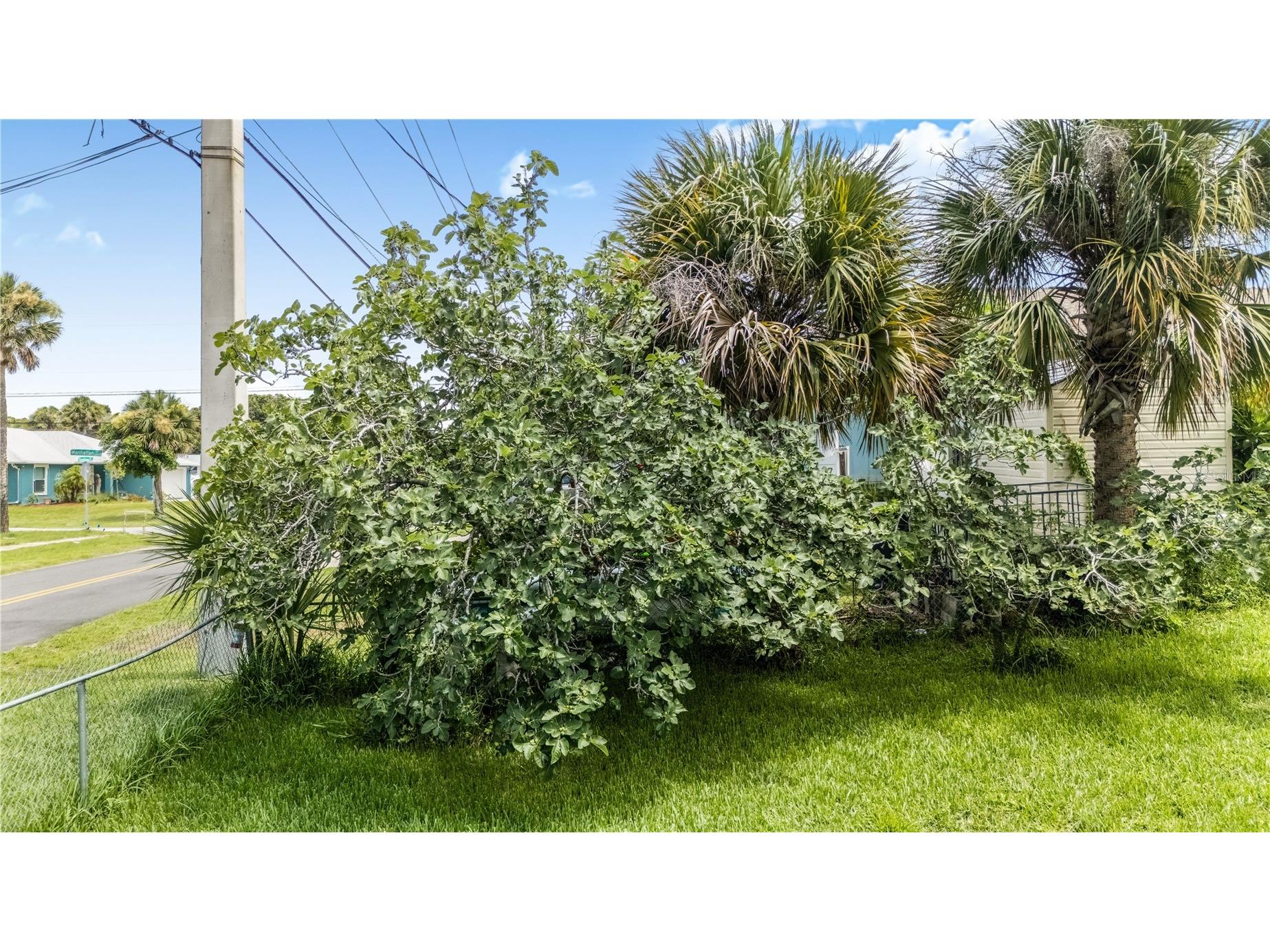 1420 N Grandview Avenue Daytona Beach FL 32118 V4947010 image9