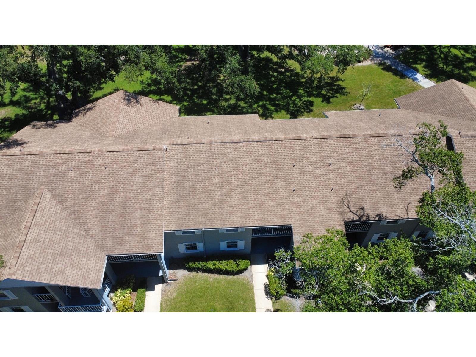1420 Oak Hill Drive #102 Dunedin FL 34698 S5151880 image17