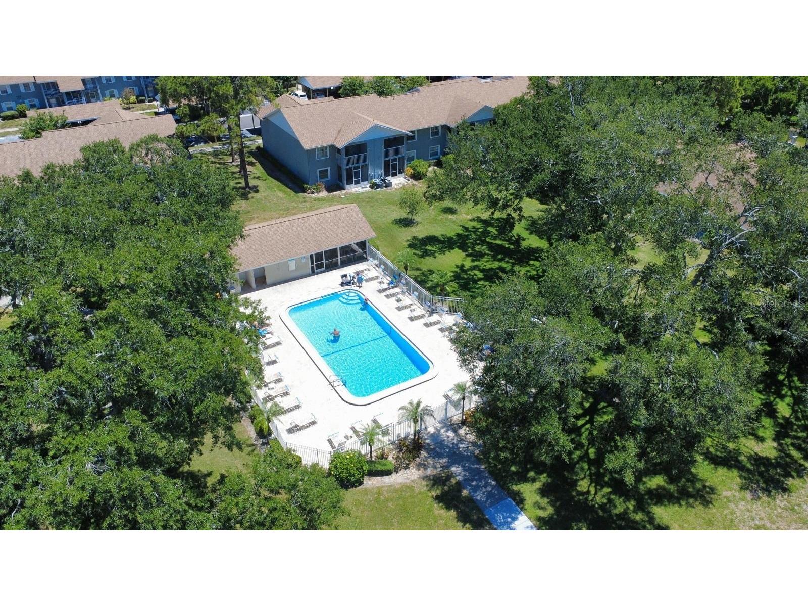 1420 Oak Hill Drive #102 Dunedin FL 34698 S5151880 image18