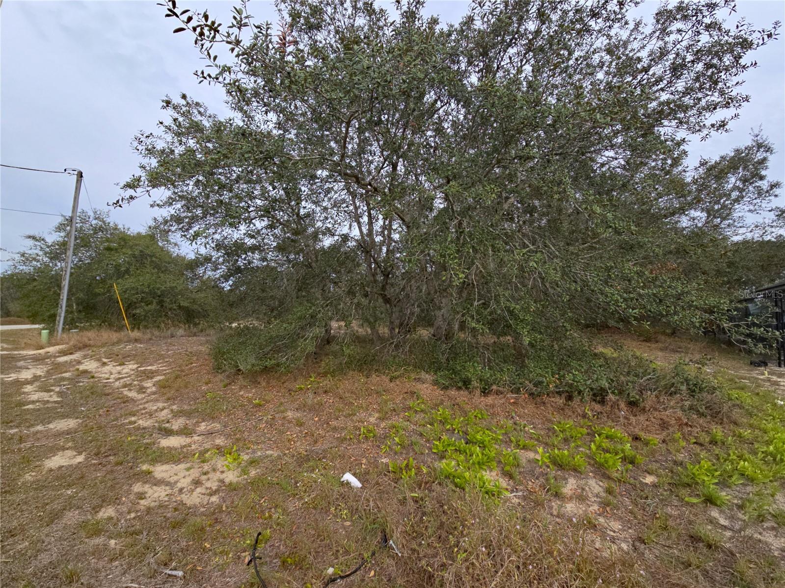 1420 Punta Gorda Court Poinciana FL 34759 S5142440 image3