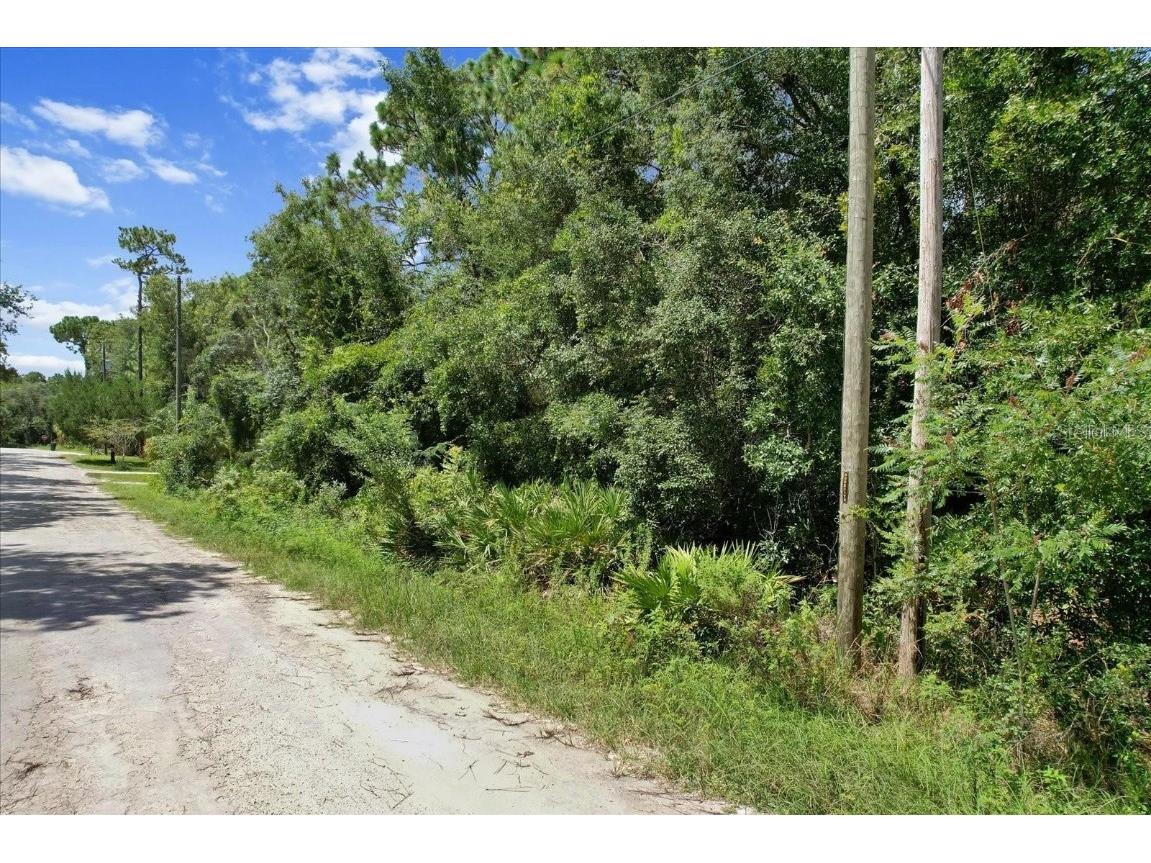 1420 S Highcliff Point Homosassa FL 34448 A4662115 image2