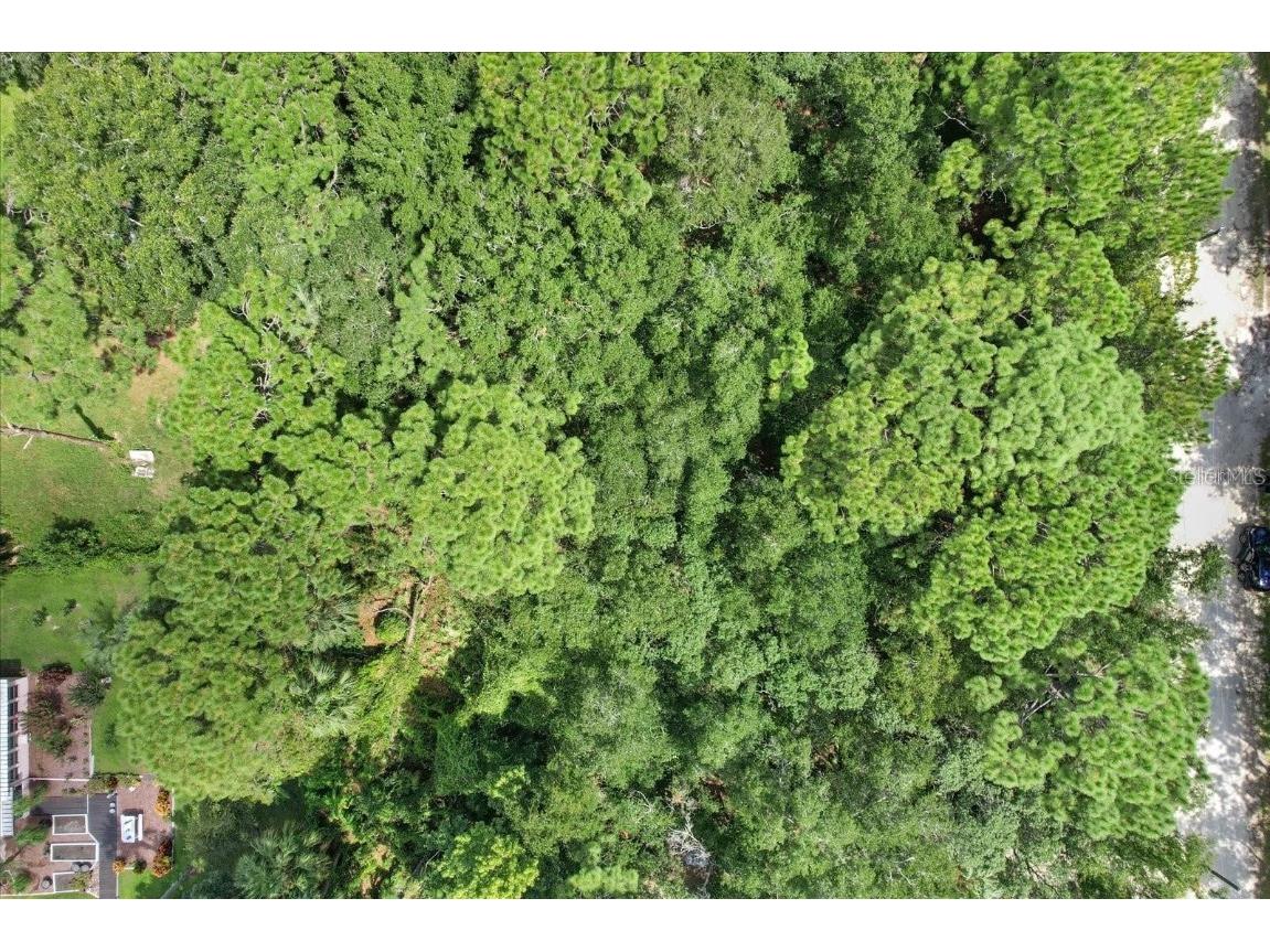 1420 S Highcliff Point Homosassa FL 34448 A4662115 image6