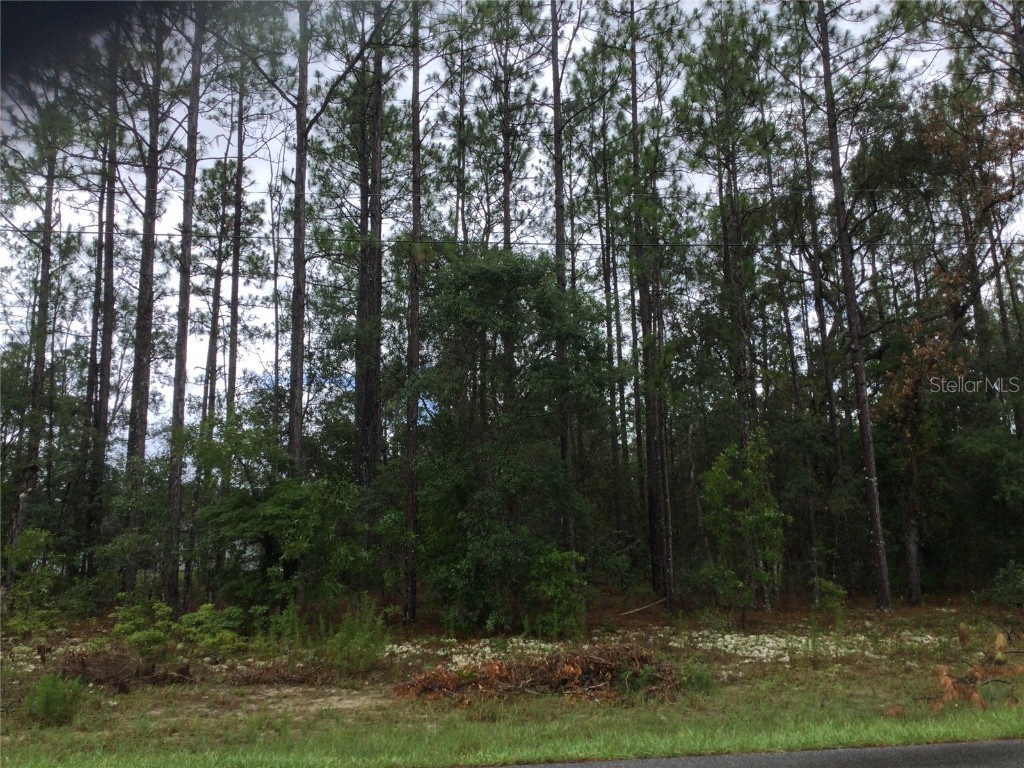 1420 W Japonica Place Dunnellon FL 34434 W7866192 image1