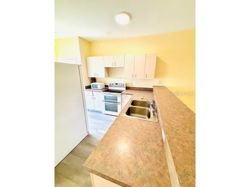 14201 Indian Creek Drive #14201 Kissimmee FL 34759 L4961412 image6