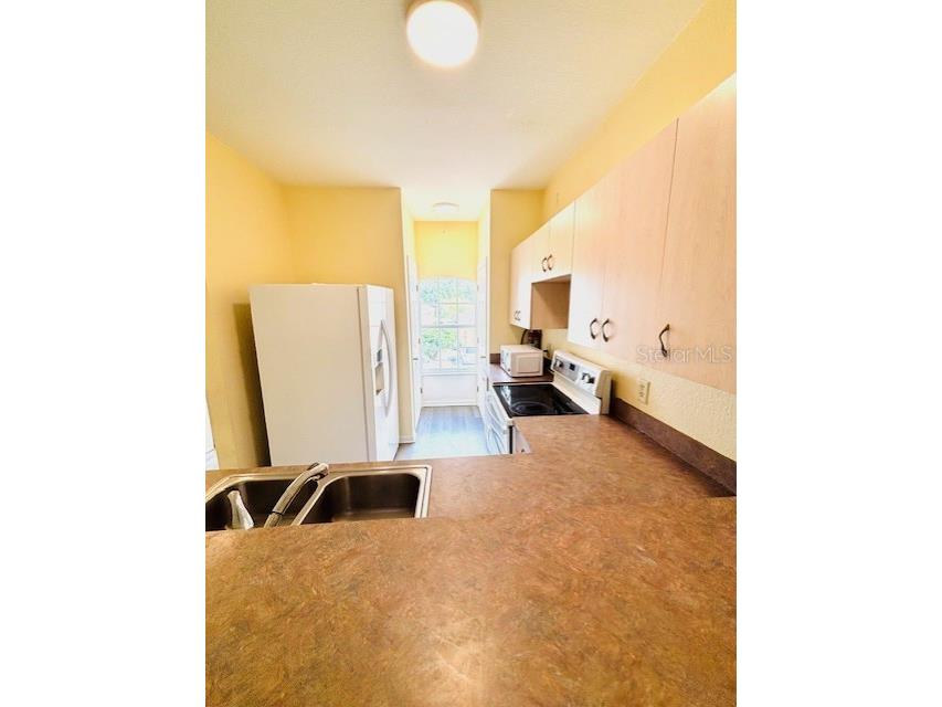 14201 Indian Creek Drive #14201 Kissimmee FL 34759 L4961412 image7
