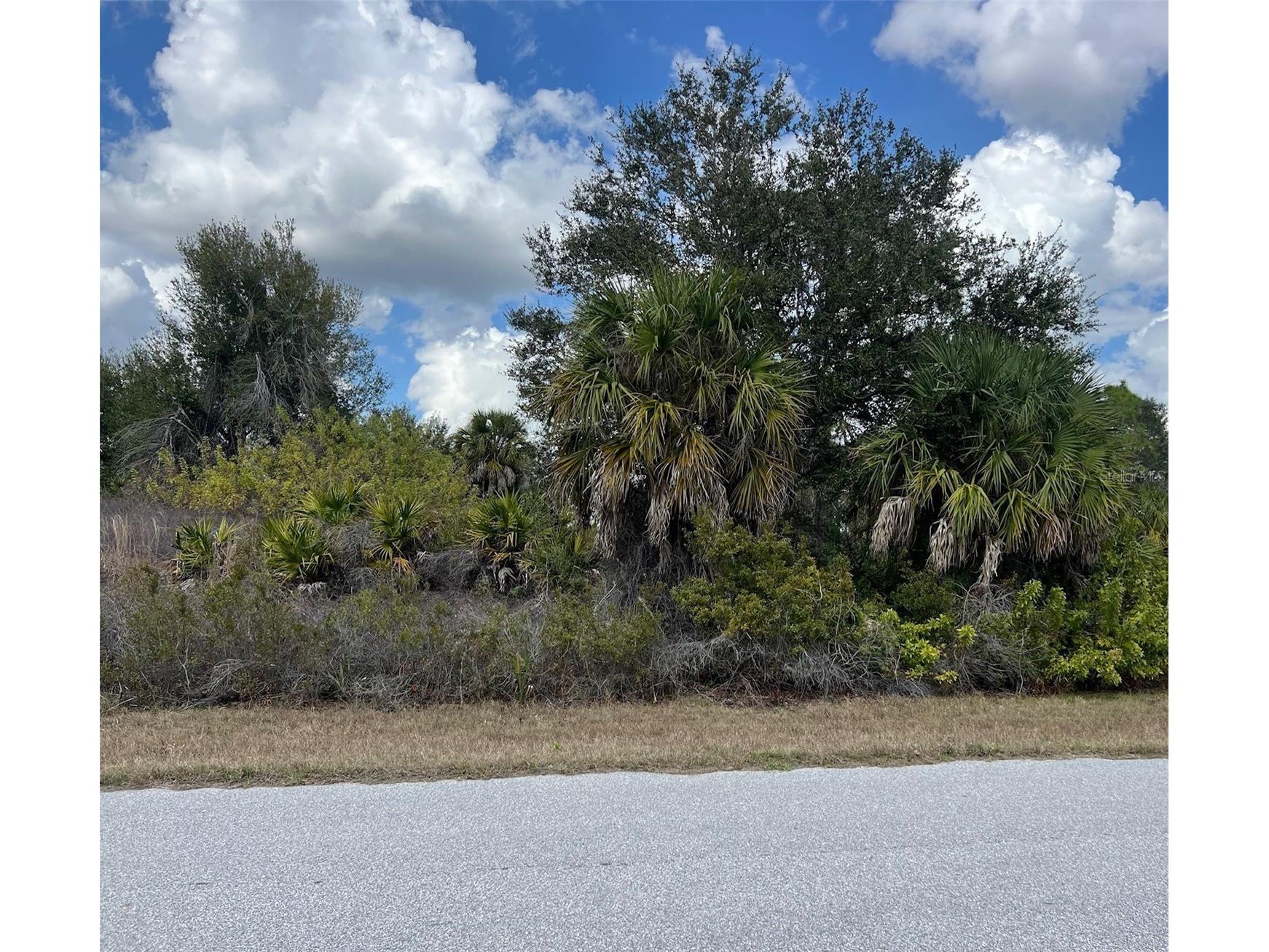14202 Howard Avenue Port Charlotte FL 33953 A4685360 image1