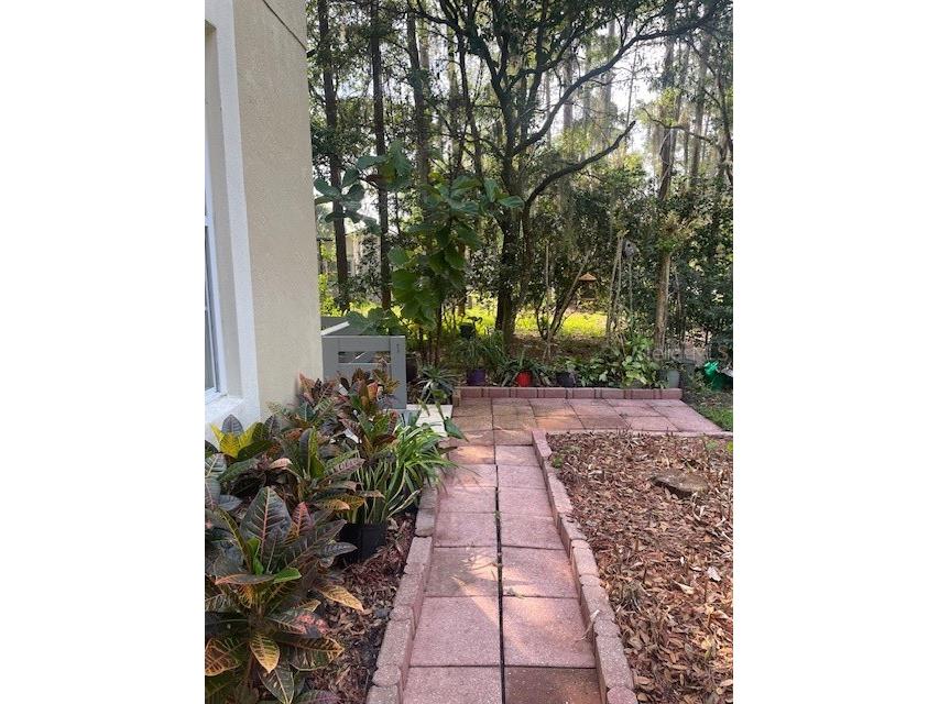 14202 Nell Drive Orlando FL 32832 O6396606 image28