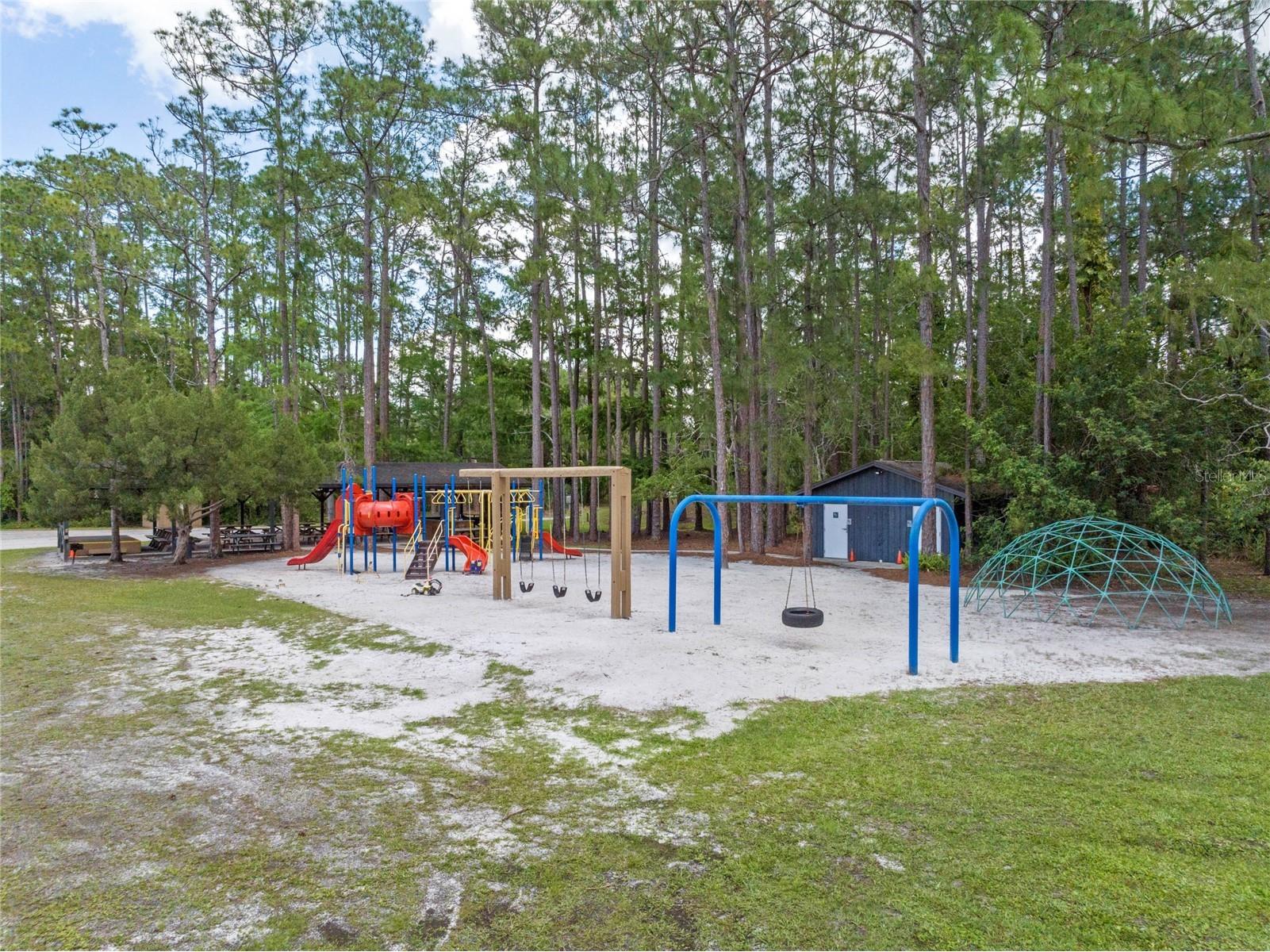 14202 Nell Drive Orlando FL 32832 O6396606 image31