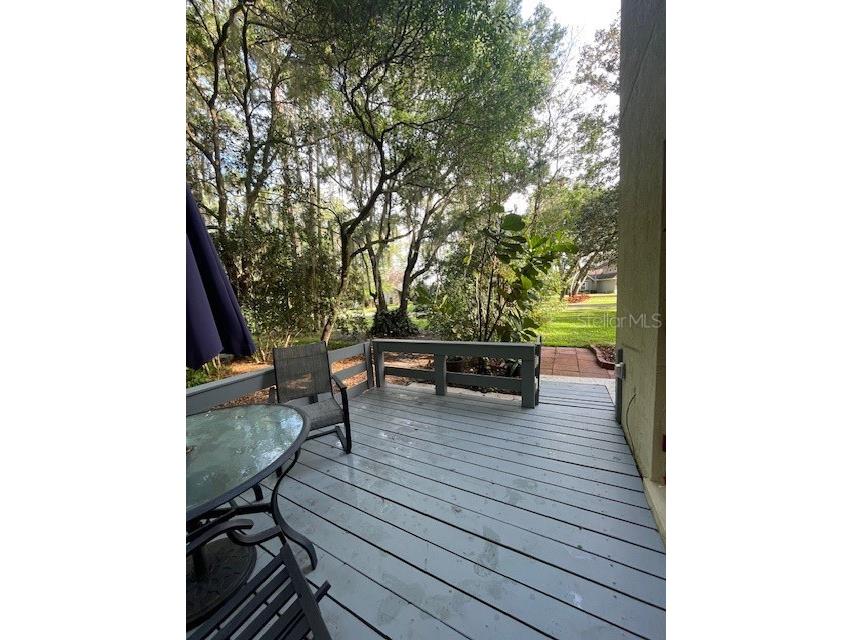 14202 Nell Drive Orlando FL 32832 O6396606 image9