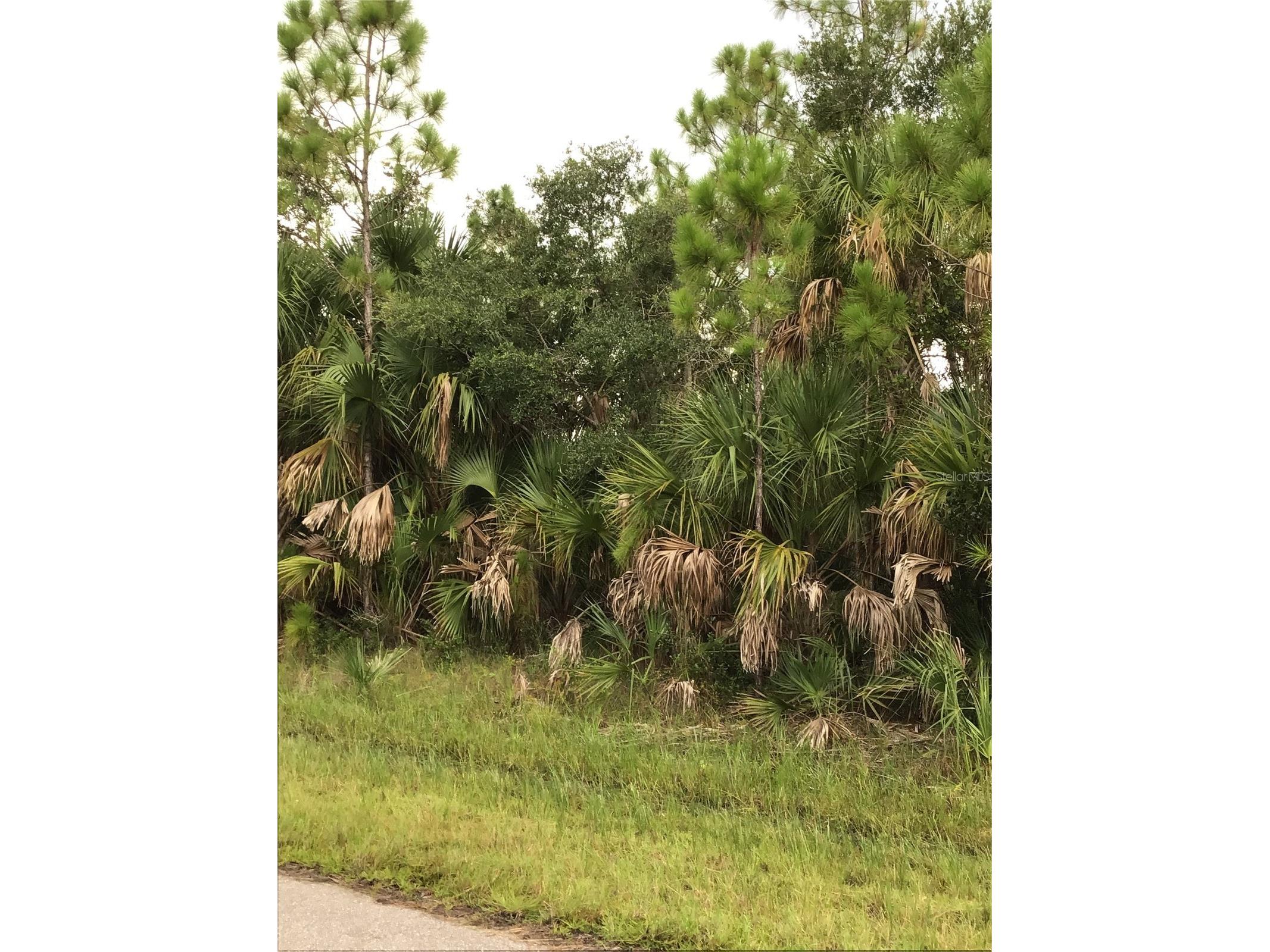14202m 142101421814226 Hydrangea Avenue Port Charlotte FL 33953 N6134310 image1