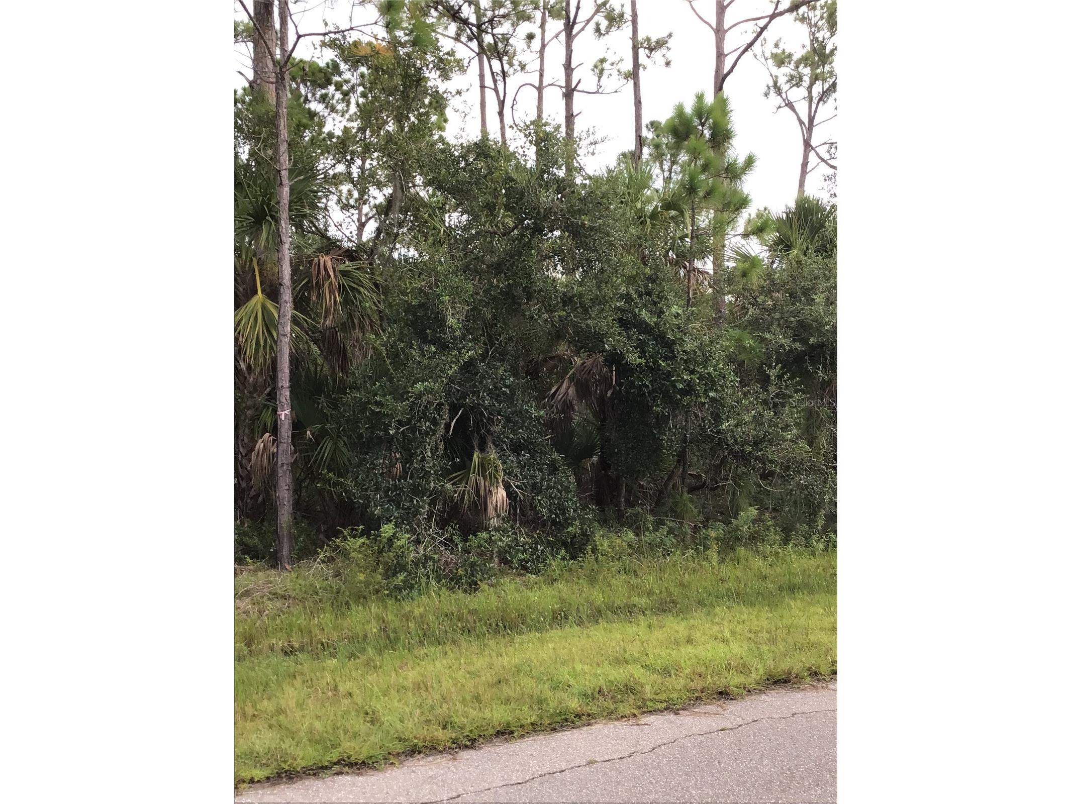 14202m 142101421814226 Hydrangea Avenue Port Charlotte FL 33953 N6134310 image2