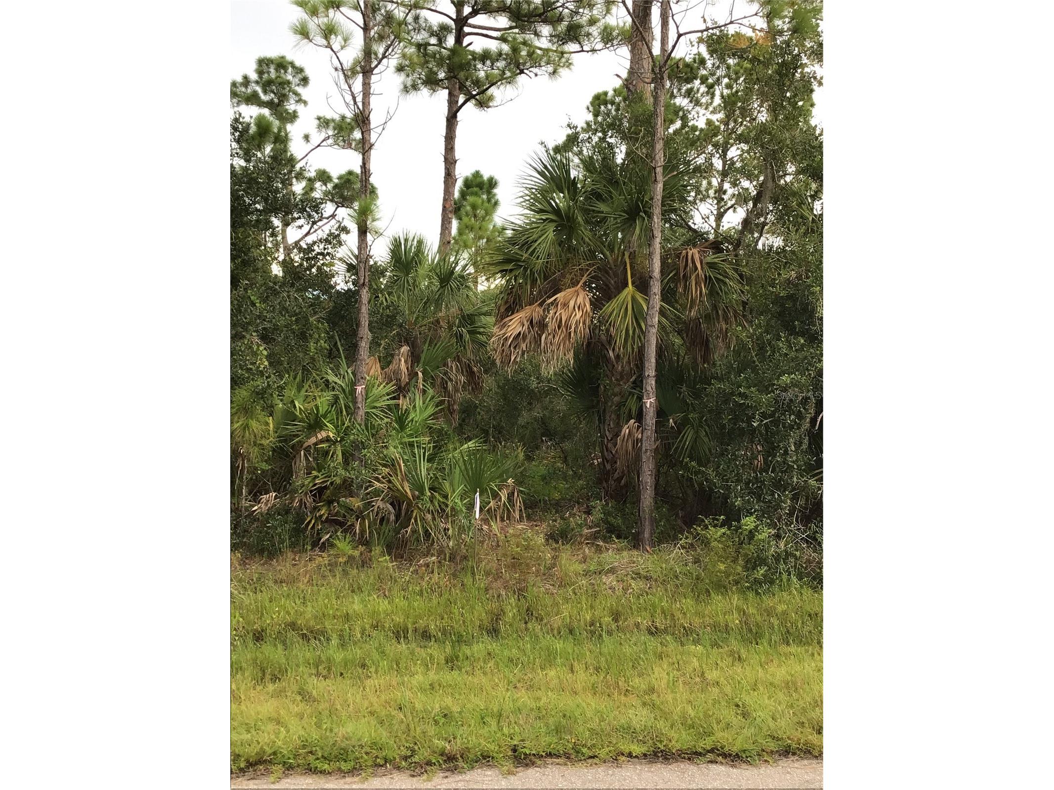 14202m 142101421814226 Hydrangea Avenue Port Charlotte FL 33953 N6134310 image3
