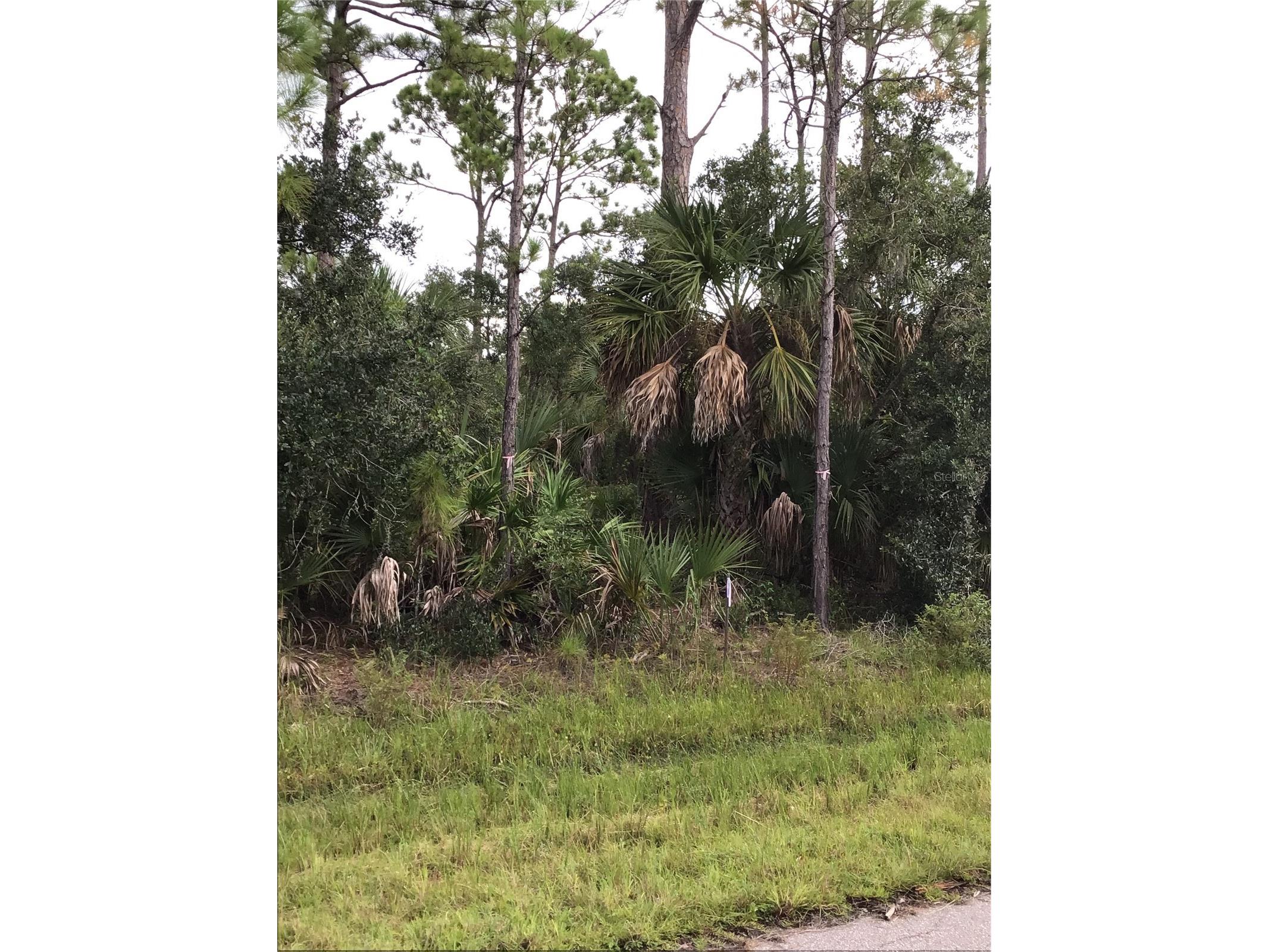 14202m 142101421814226 Hydrangea Avenue Port Charlotte FL 33953 N6134310 image5