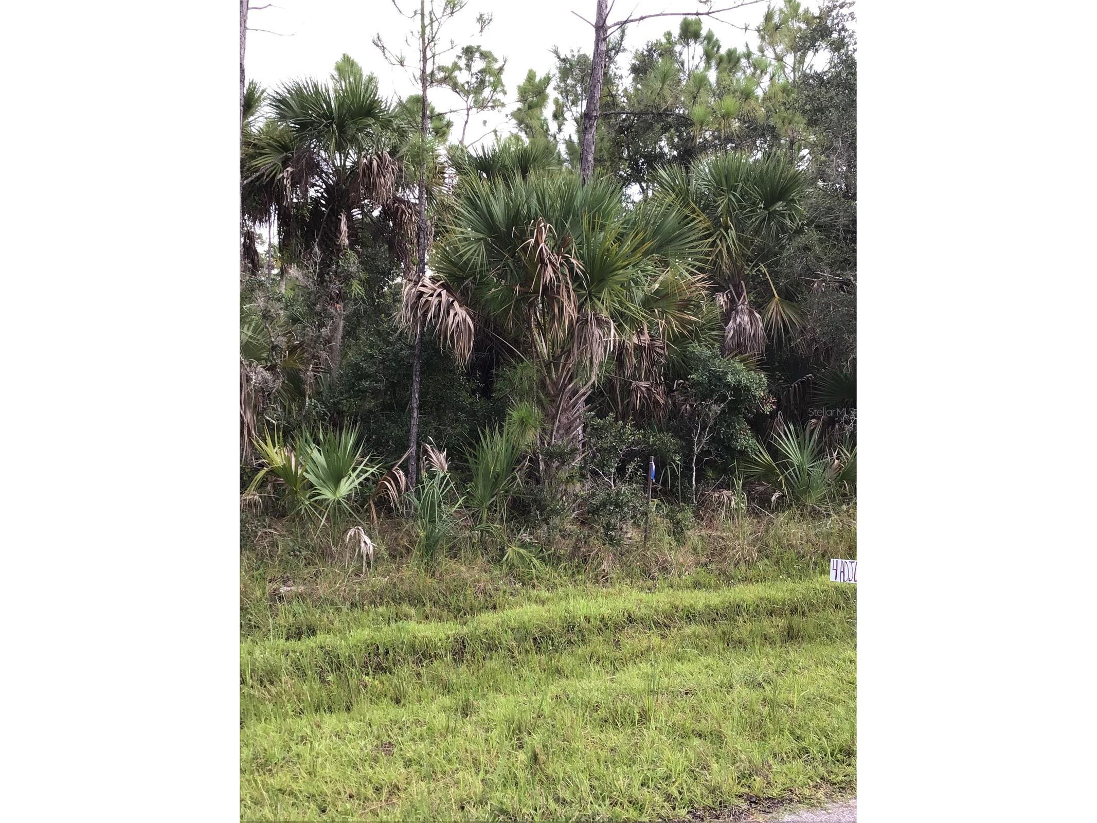 14202m 142101421814226 Hydrangea Avenue Port Charlotte FL 33953 N6134310 image6