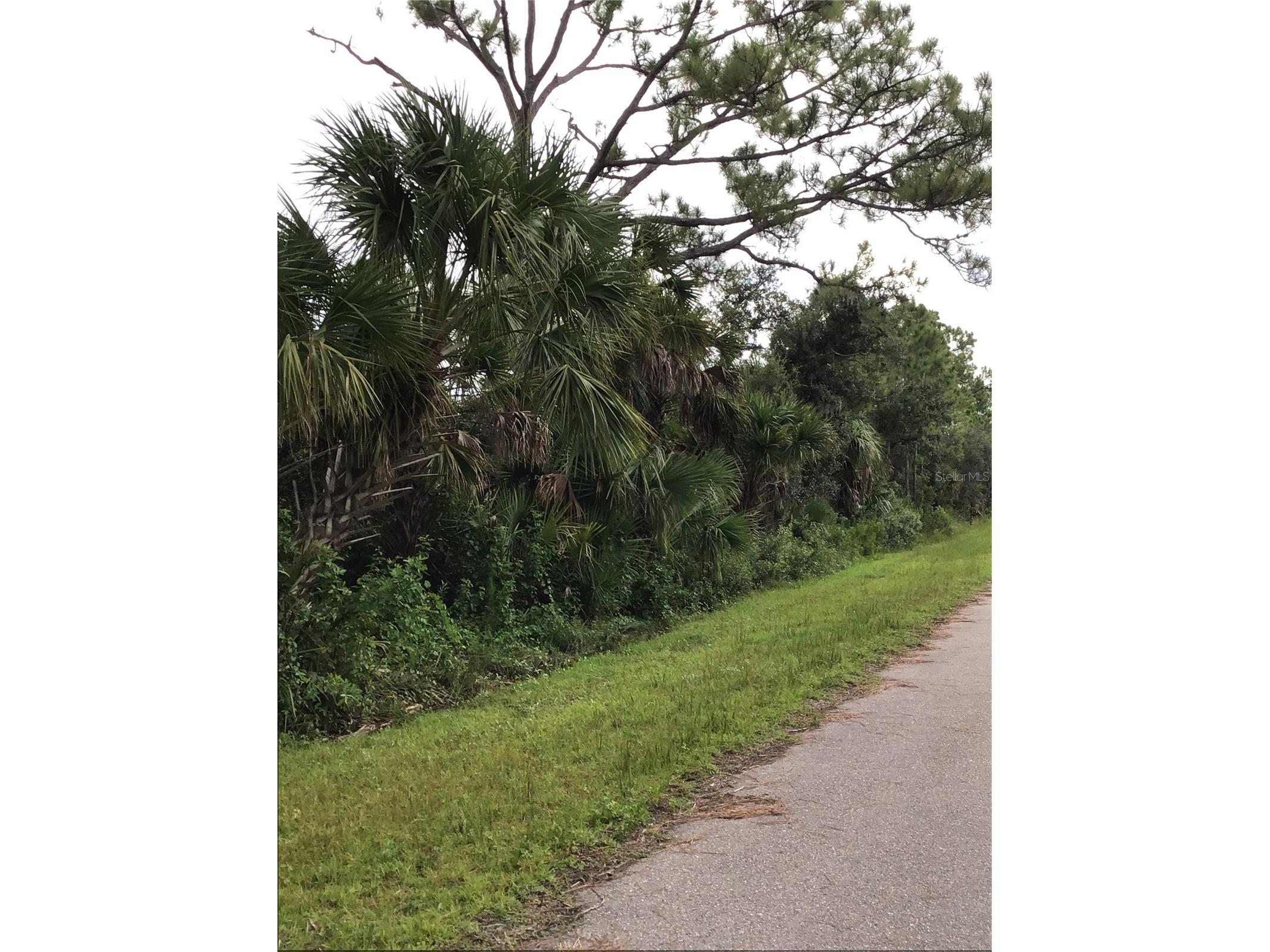 14202m 142101421814226 Hydrangea Avenue Port Charlotte FL 33953 N6134310 image7