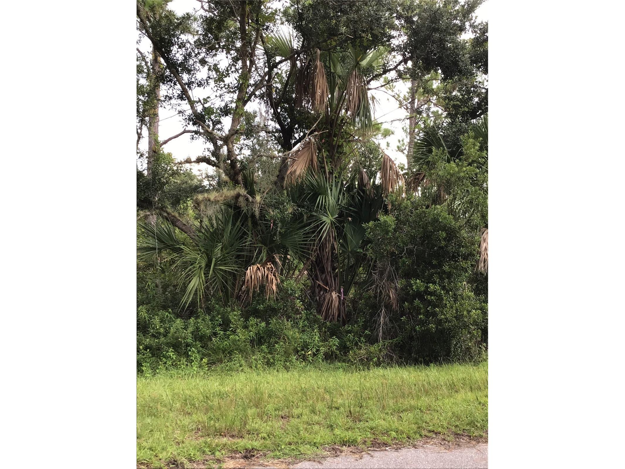 14202m 142101421814226 Hydrangea Avenue Port Charlotte FL 33953 N6134310 image8