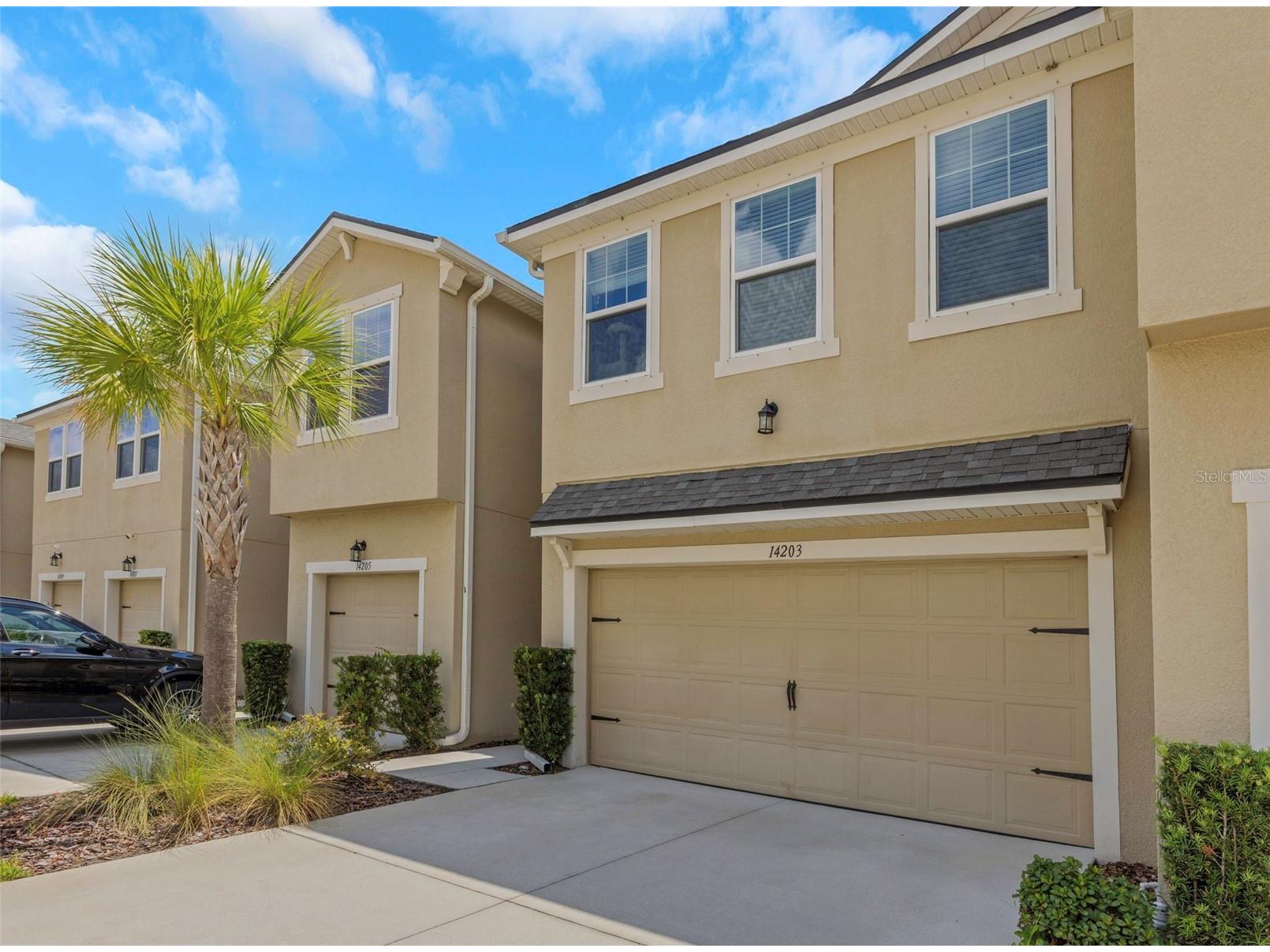 14203 Damselfly Drive Tampa FL 33625 TB8525815 image1