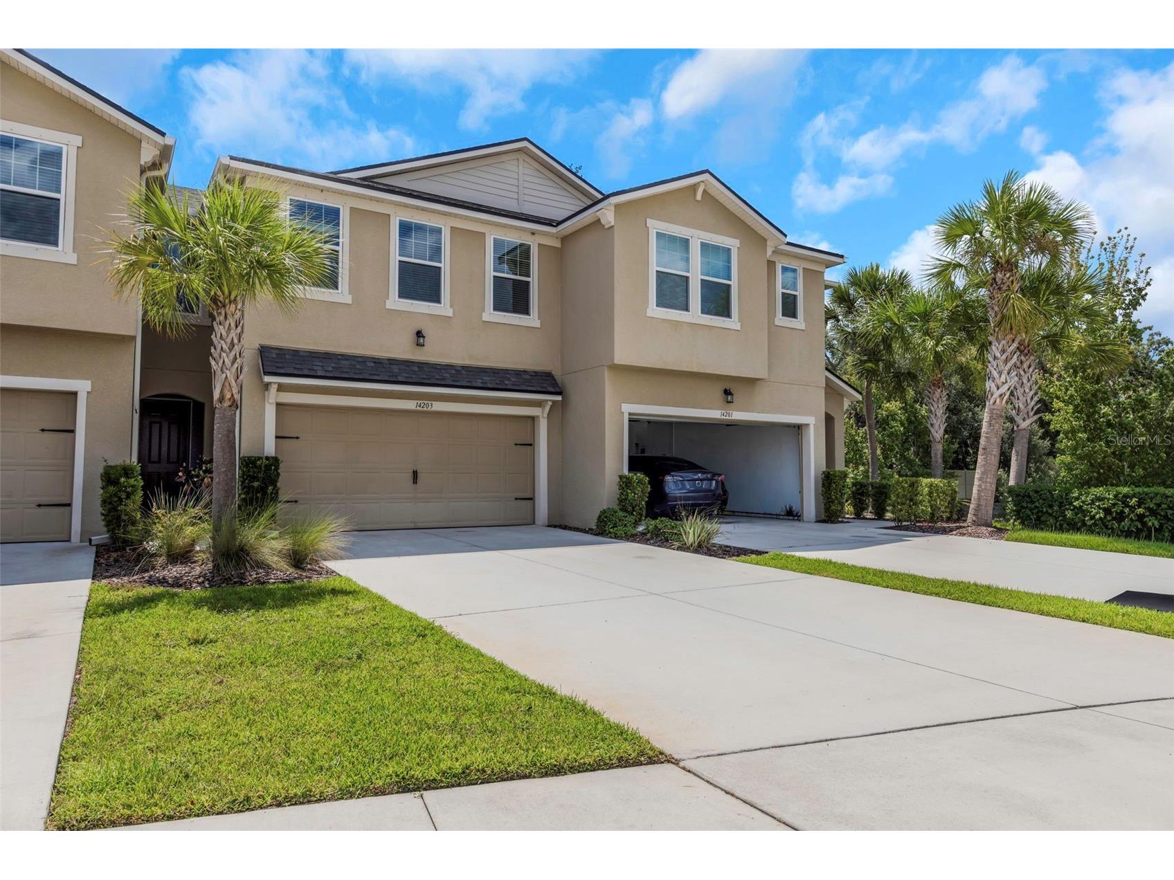 14203 Damselfly Drive Tampa FL 33625 TB8525815 image3