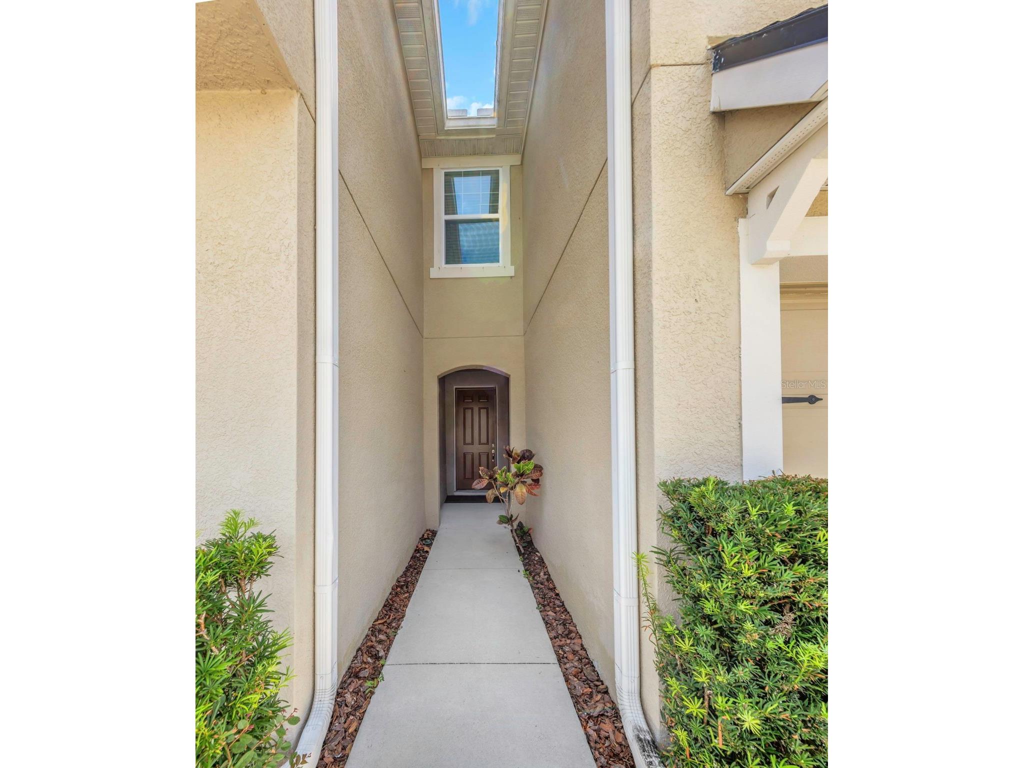14203 Damselfly Drive Tampa FL 33625 TB8525815 image5