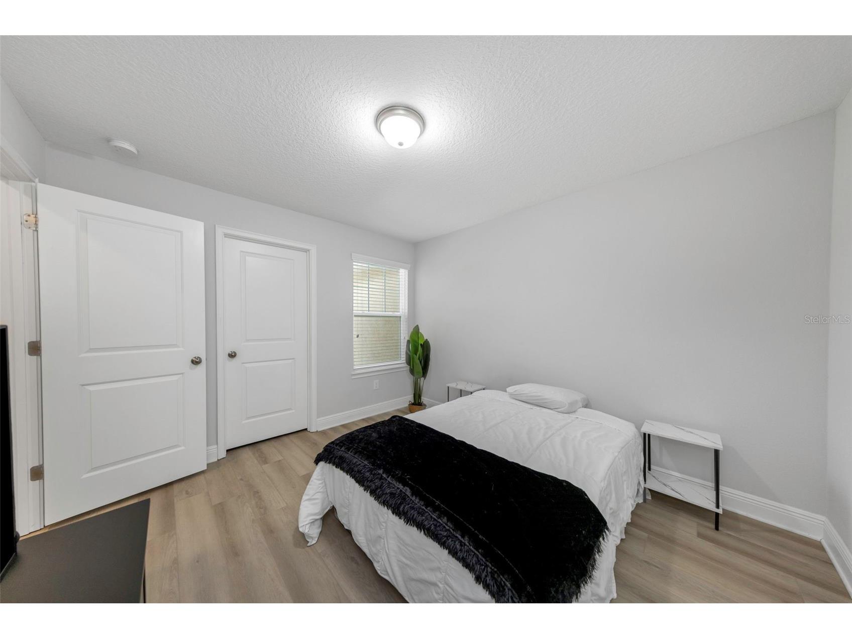 14203 Damselfly Drive Tampa FL 33625 TB8525815 image55