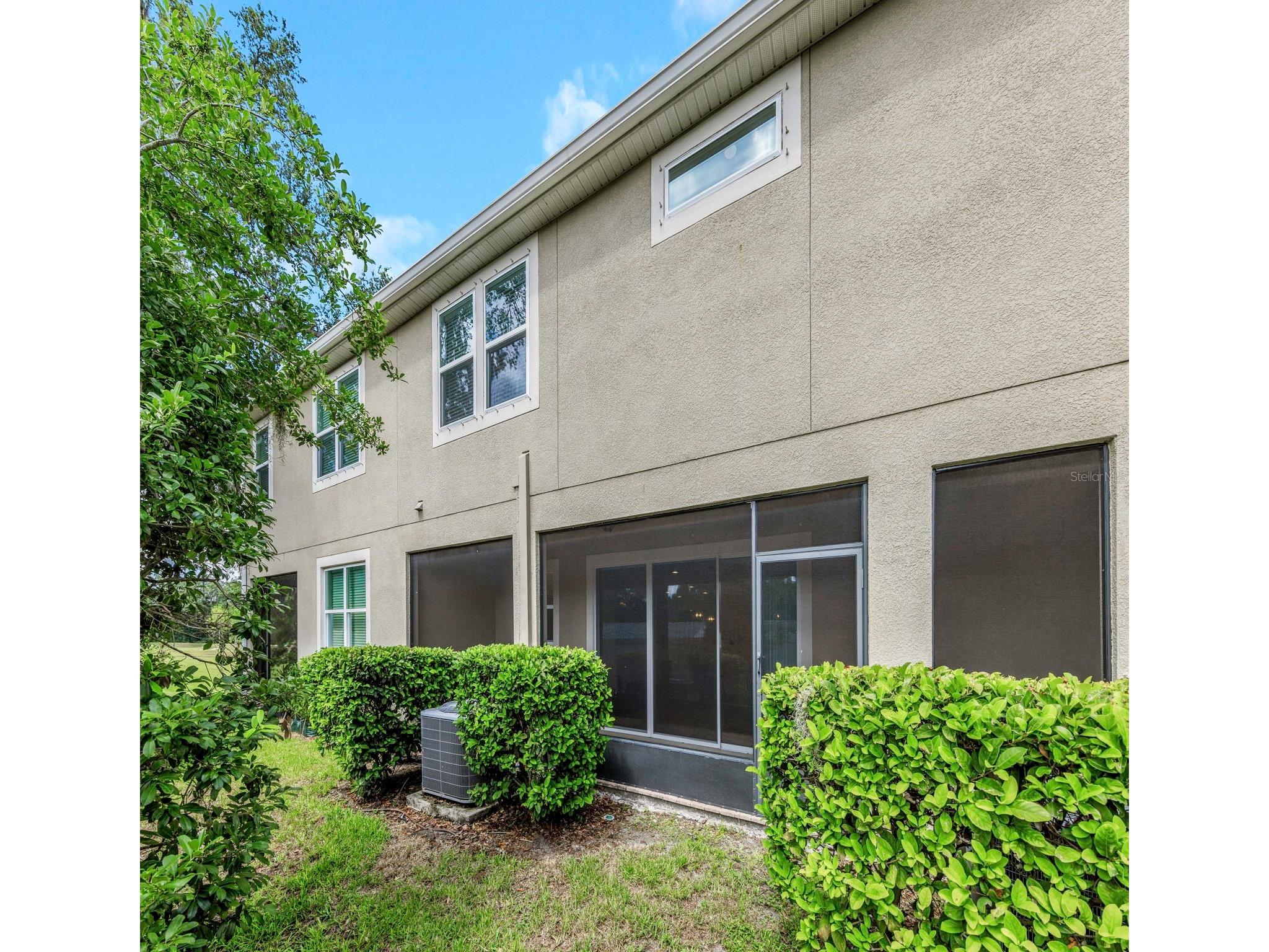 14203 Damselfly Drive Tampa FL 33625 TB8525815 image61