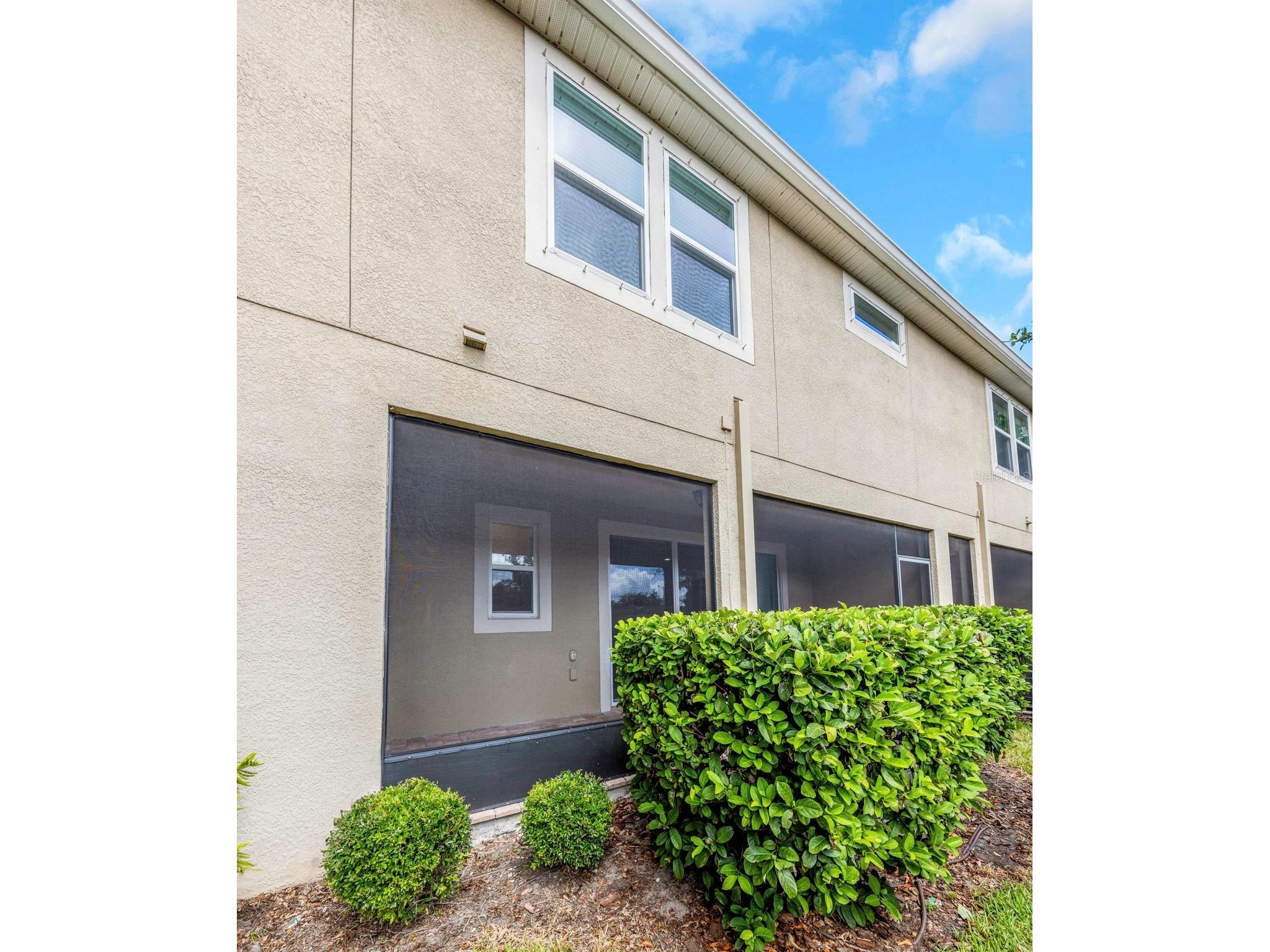 14203 Damselfly Drive Tampa FL 33625 TB8525815 image62