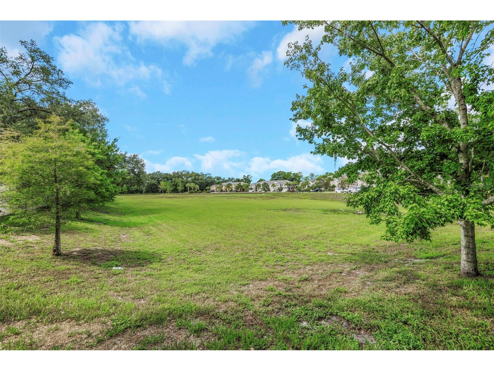 14203 Damselfly Drive Tampa FL 33625 TB8525815 image63