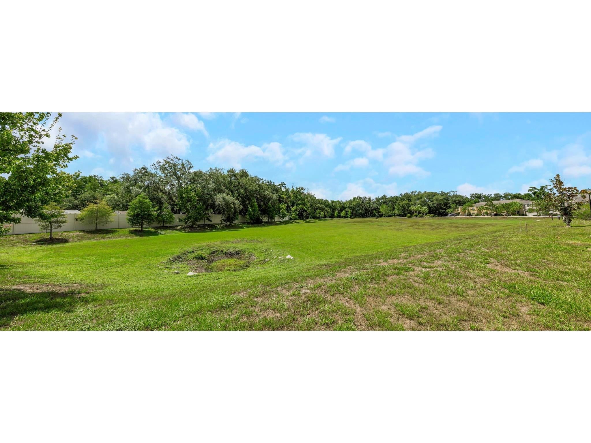 14203 Damselfly Drive Tampa FL 33625 TB8525815 image64