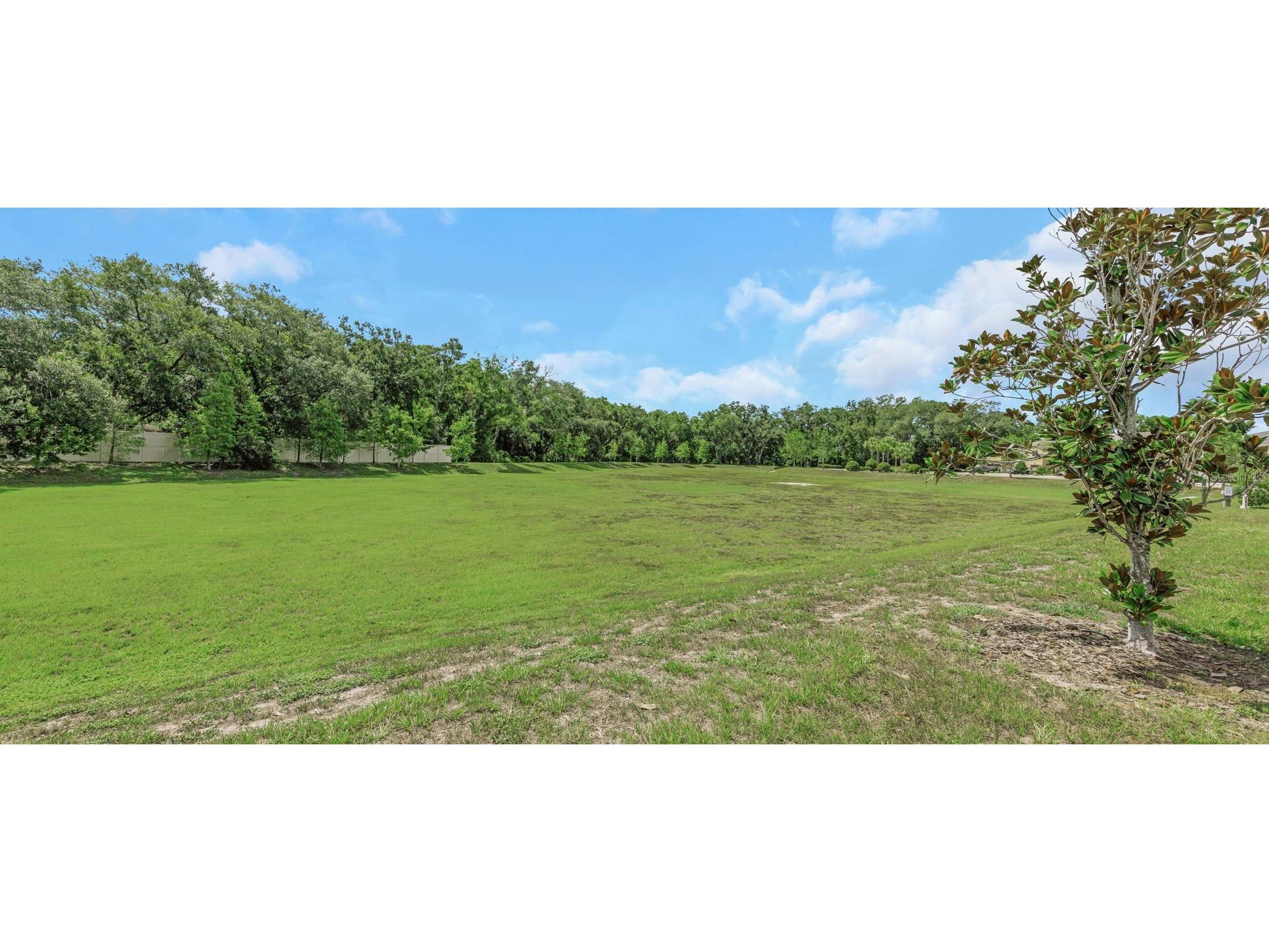 14203 Damselfly Drive Tampa FL 33625 TB8525815 image65