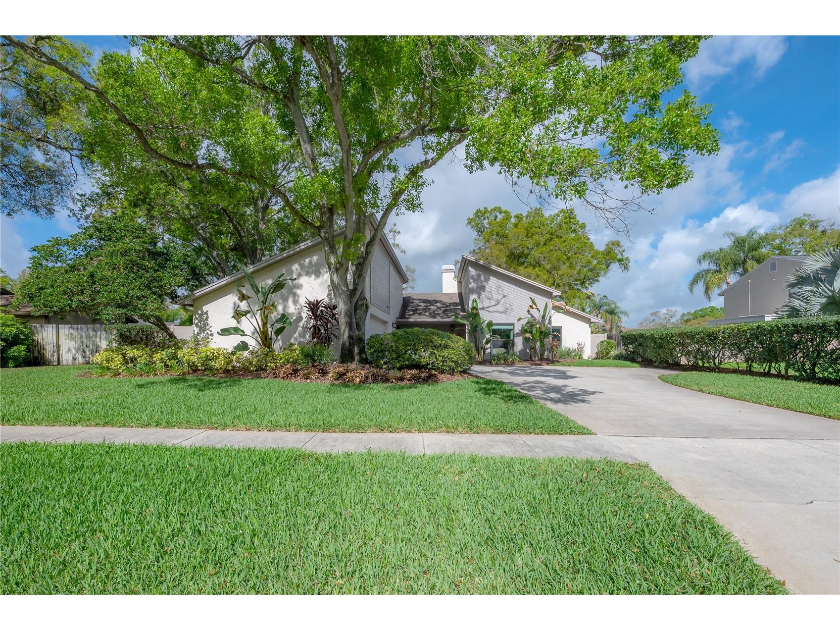 14204 Ashburn Place Tampa FL 33624 TB8487247 image1