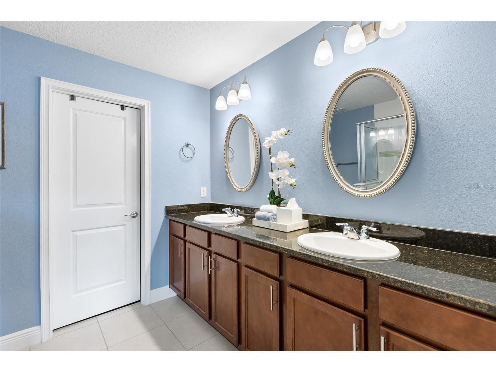 14205 Damselfly Drive Tampa FL 33625 TB8485604 image12