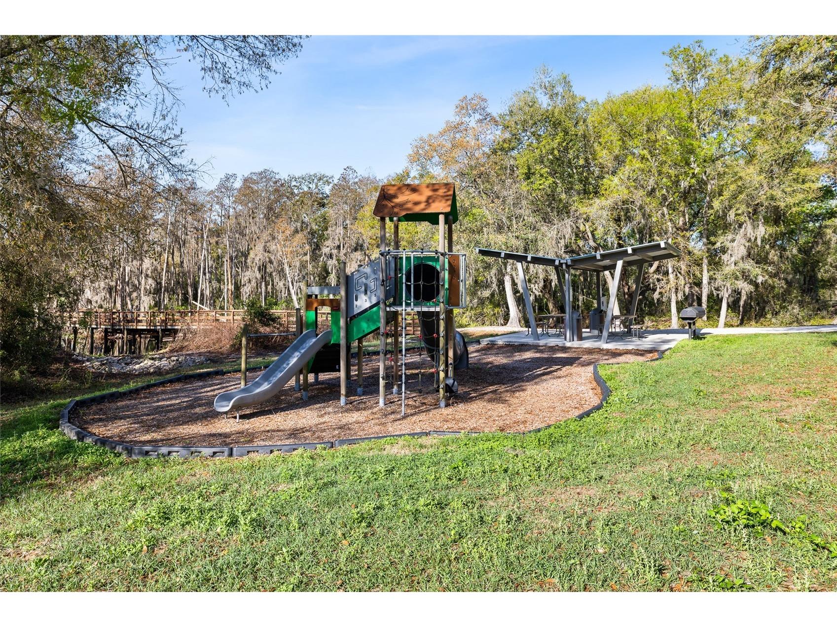14205 Damselfly Drive Tampa FL 33625 TB8485604 image21