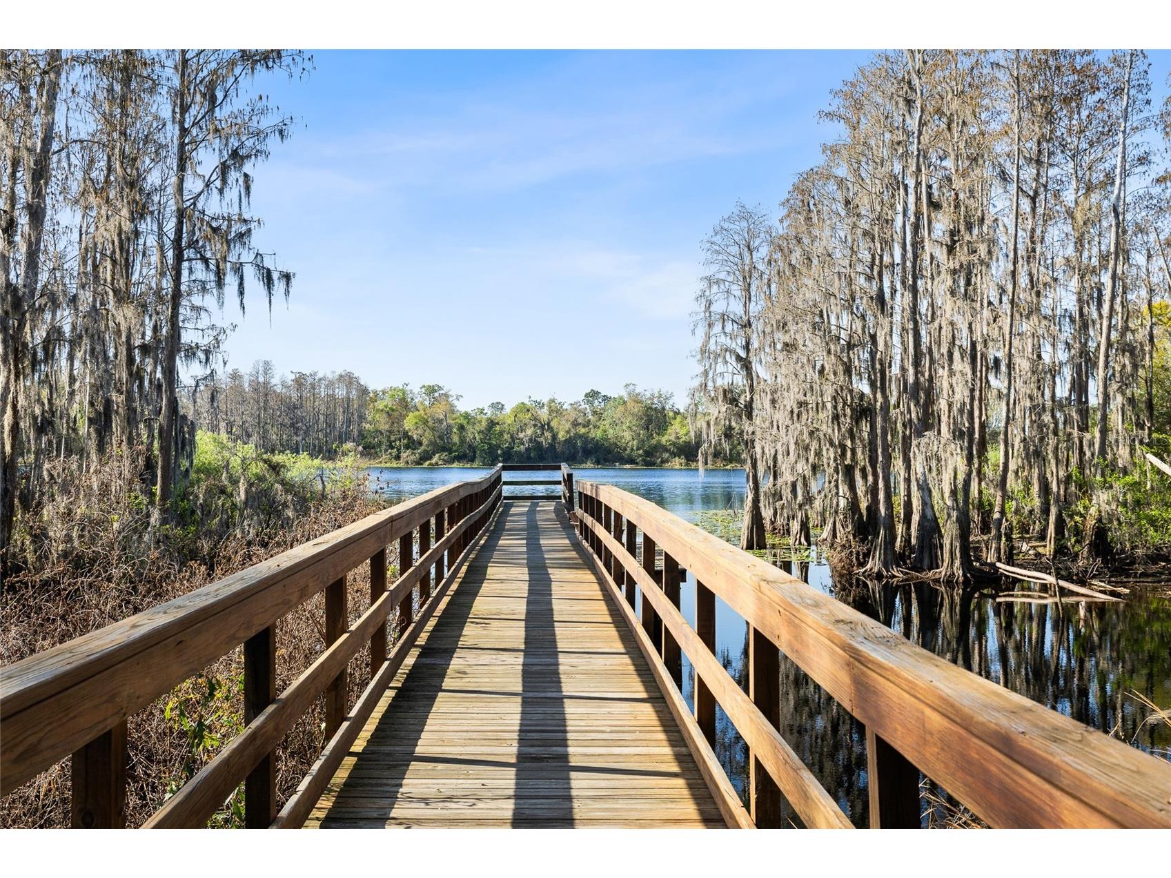 14205 Damselfly Drive Tampa FL 33625 TB8485604 image22