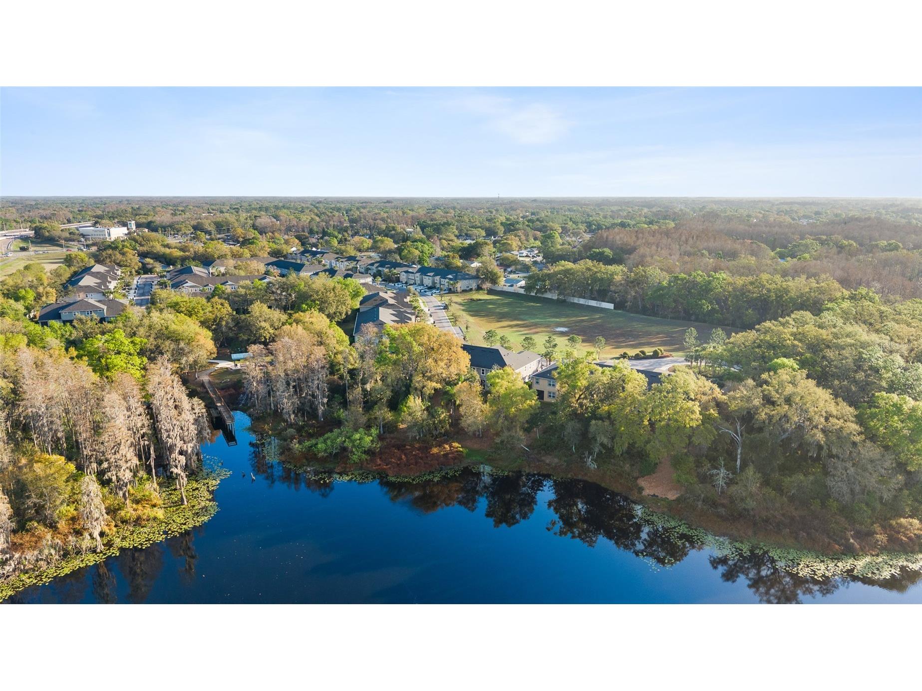 14205 Damselfly Drive Tampa FL 33625 TB8485604 image24