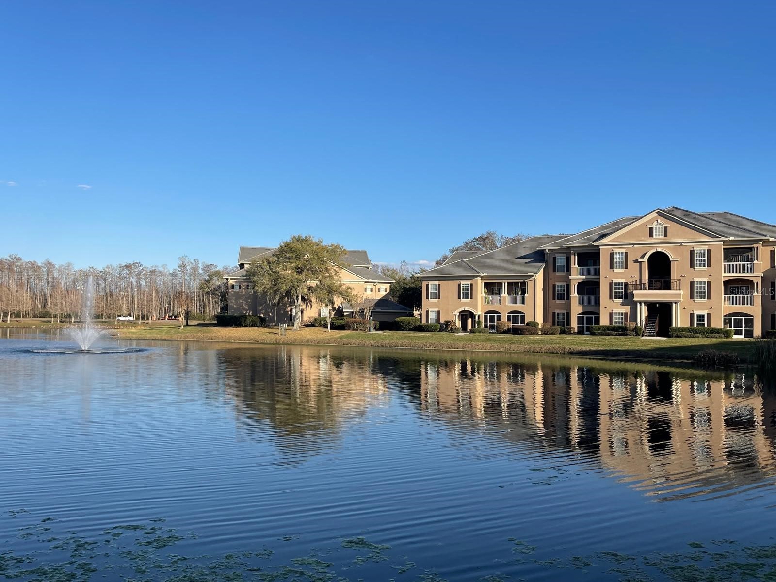 14205 Falls Church Drive #2016 Orlando FL 32837 S5144541 image23