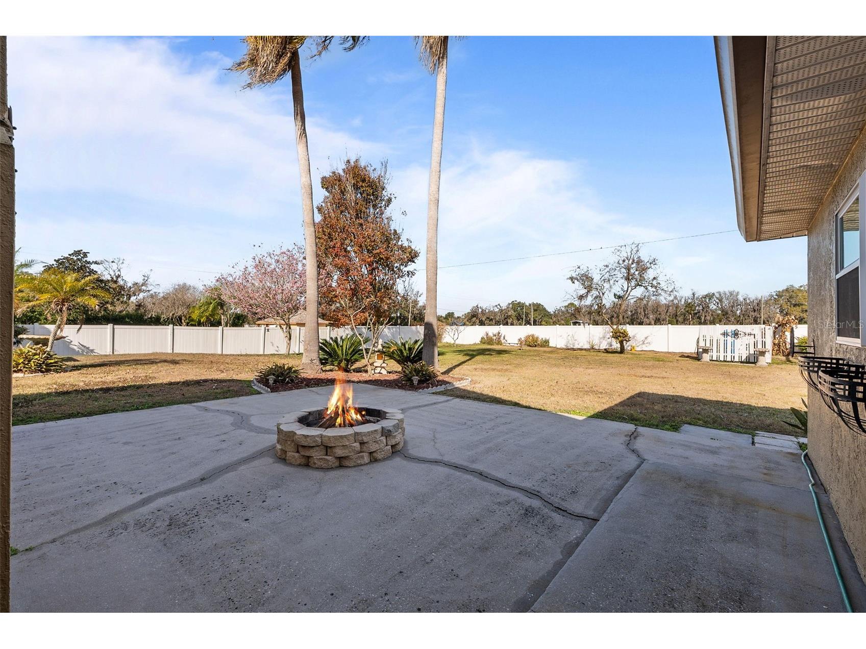 14206 Melouga Preserve Trail Dover FL 33527 TB8466899 image39