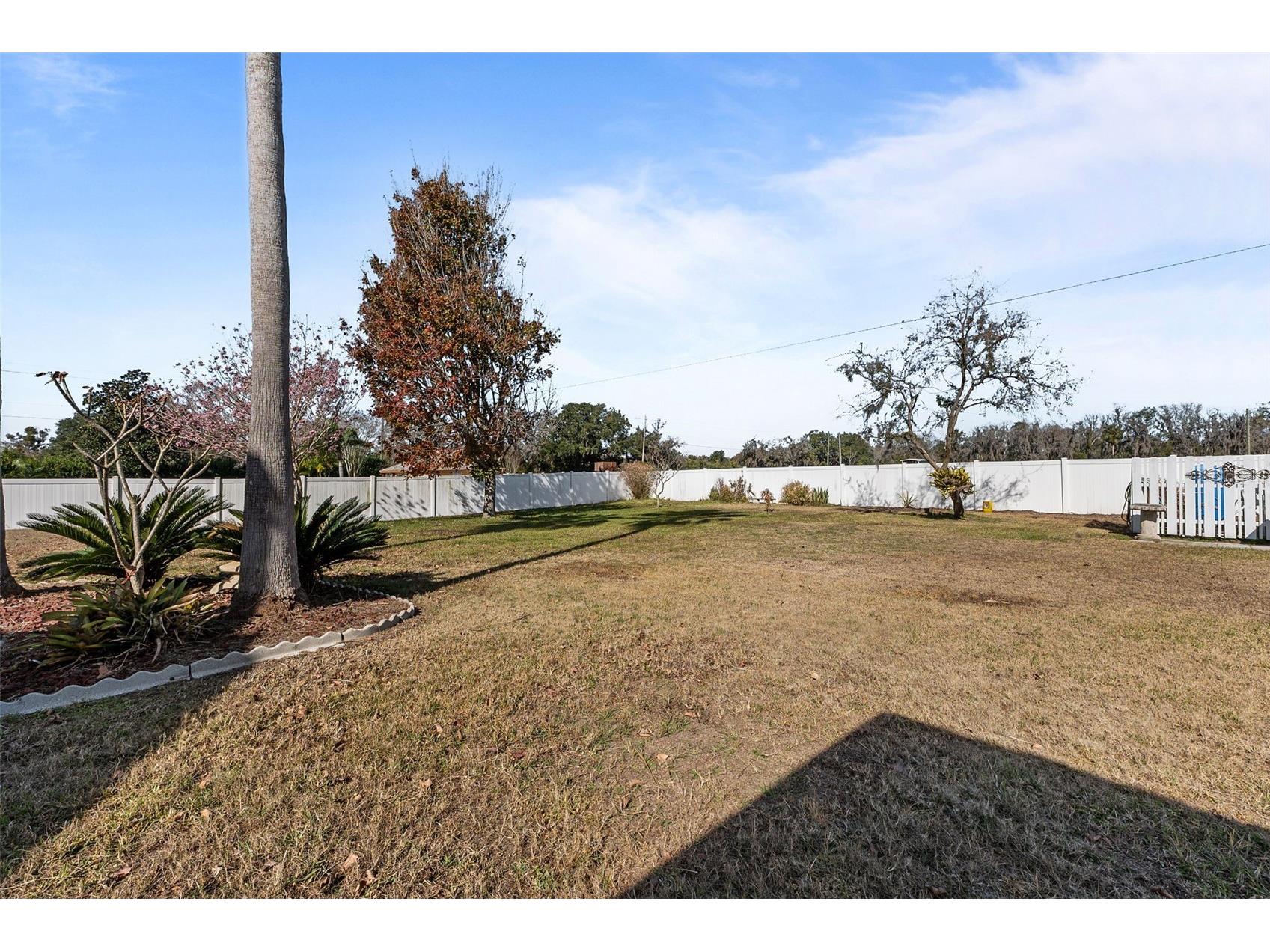 14206 Melouga Preserve Trail Dover FL 33527 TB8466899 image42