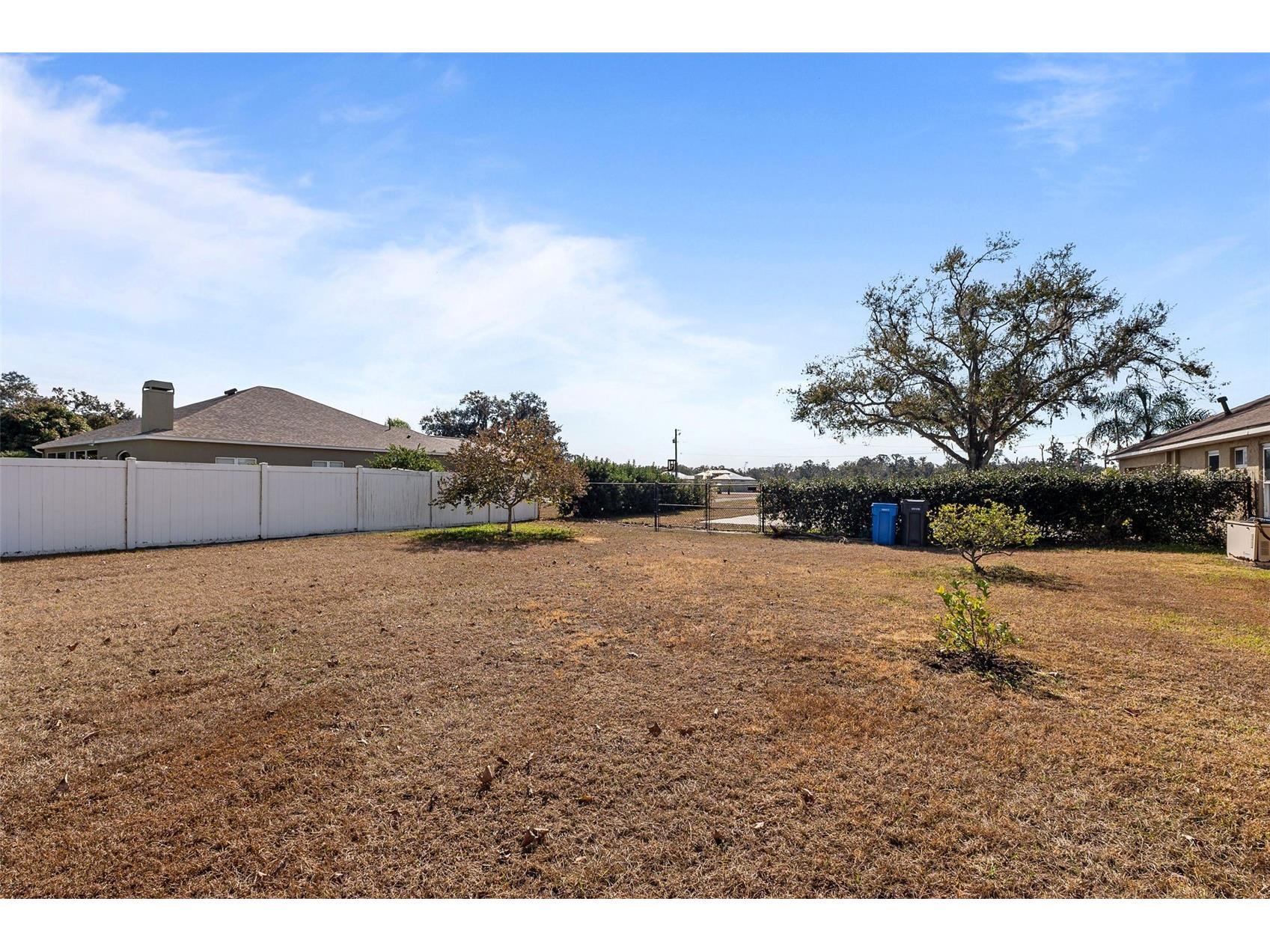 14206 Melouga Preserve Trail Dover FL 33527 TB8466899 image49