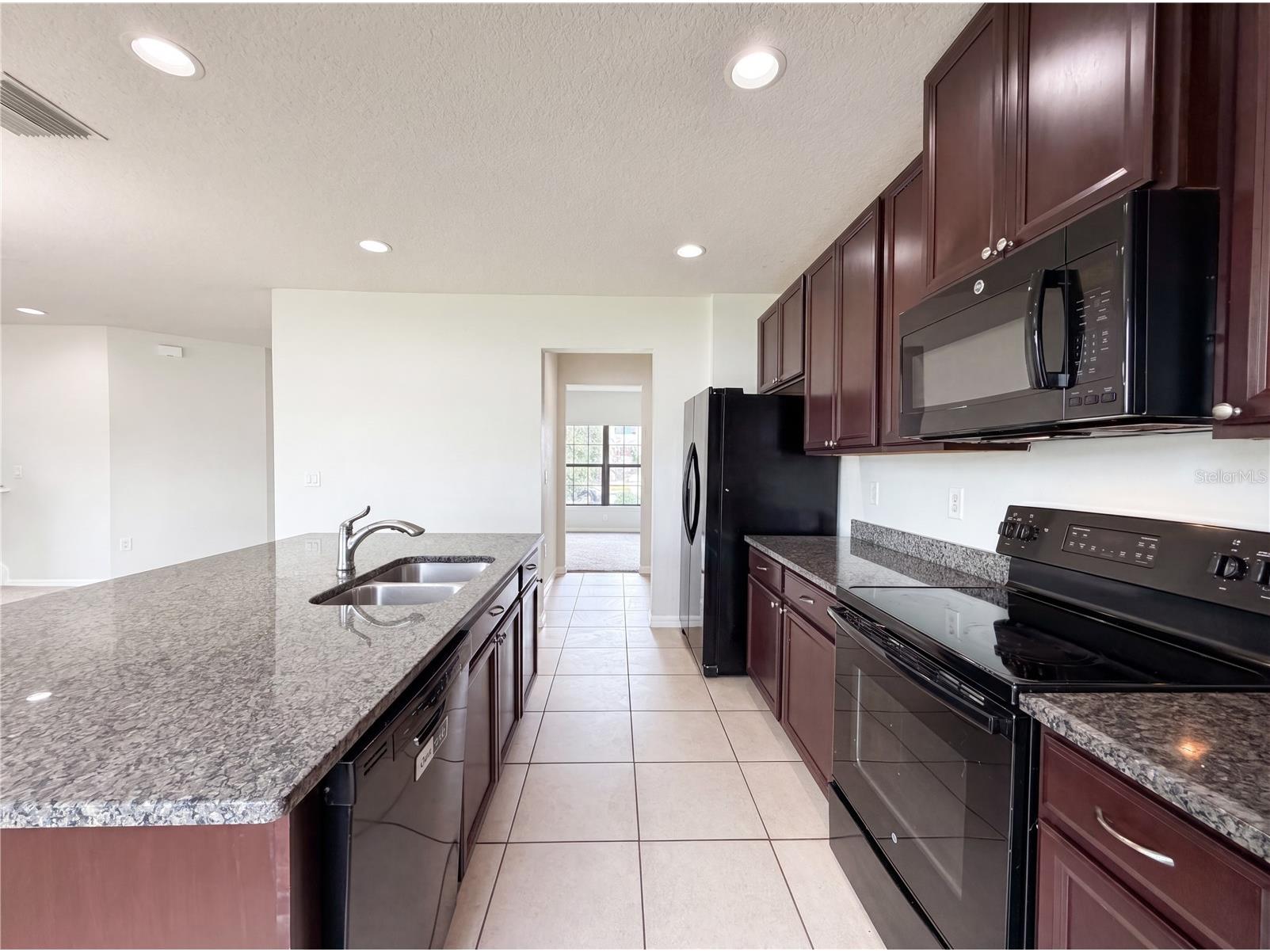 14207 Alistar Manor Drive Wimauma FL 33598 O6416177 image10