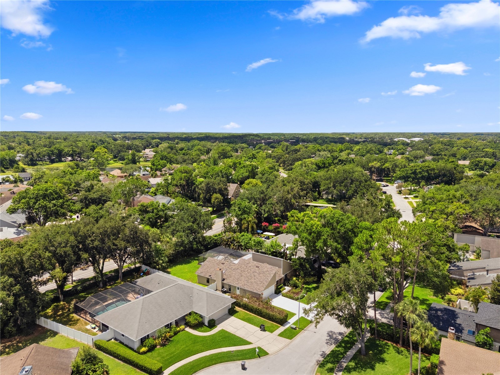 14207 Ashburn Place Tampa FL 33624 TB8517885 image58