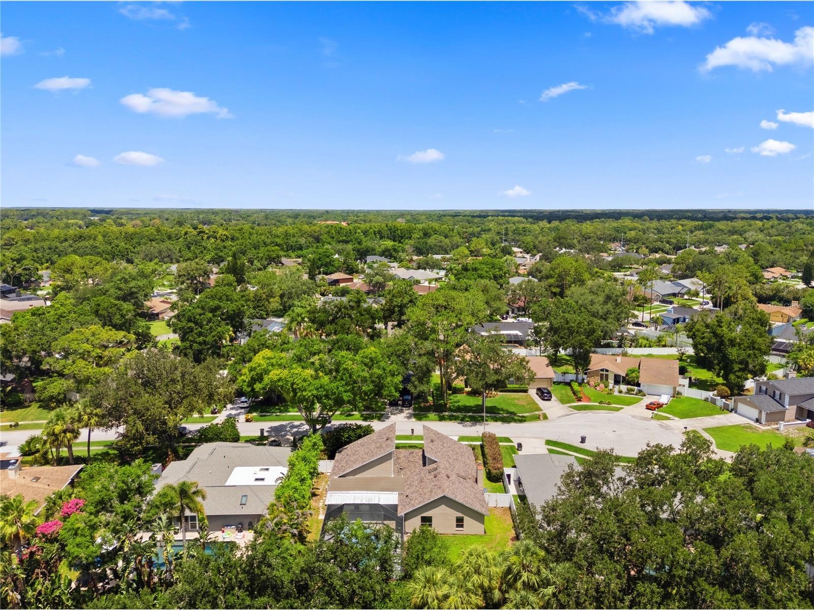 14207 Ashburn Place Tampa FL 33624 TB8517885 image60