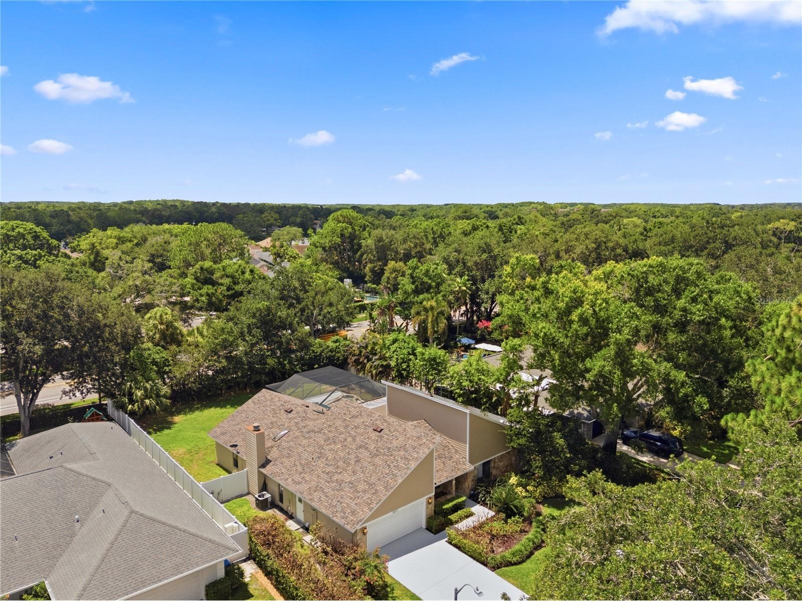14207 Ashburn Place Tampa FL 33624 TB8517885 image62
