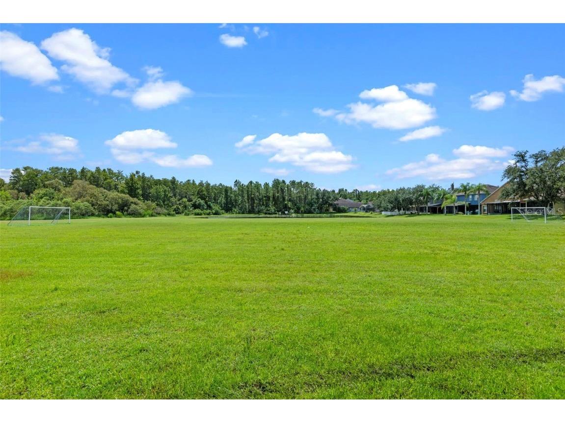 14208 Morning Frost Drive Orlando FL 32828 O6340283 image49