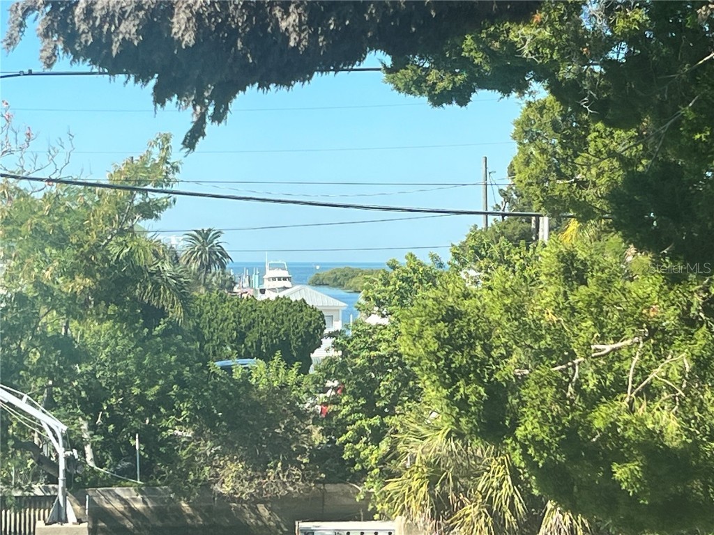 14208 Shiloh Court Hudson FL 34667 W7880792 image23