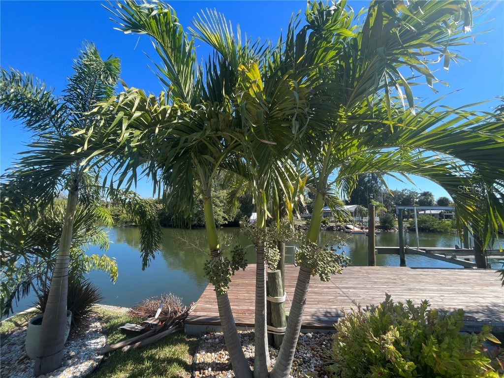 14208 Shiloh Court Hudson FL 34667 W7880792 image40