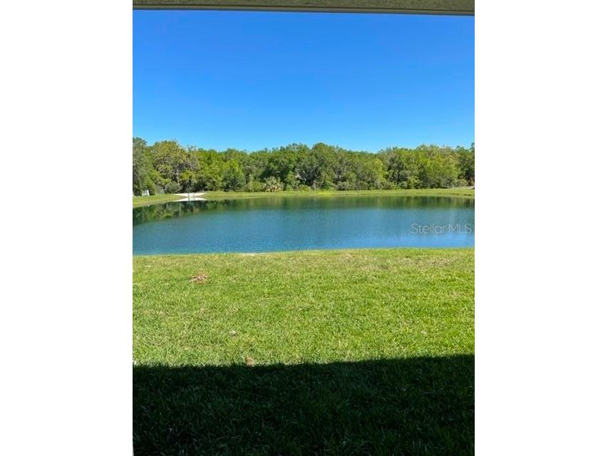 14209 57th Place E Bradenton FL 34211 A4671502 image5